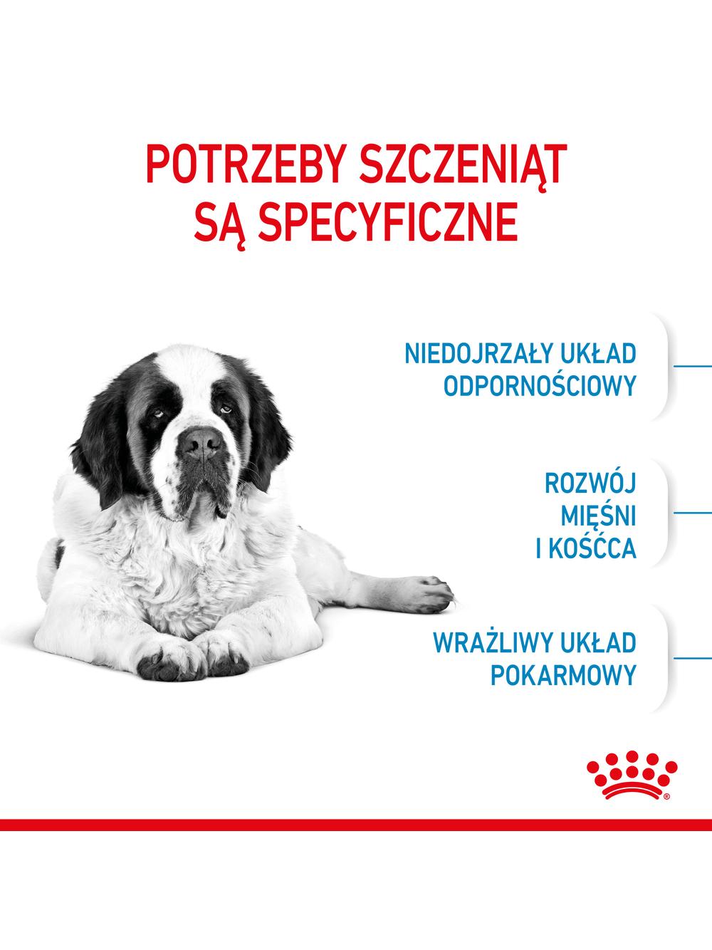 ROYAL CANIN Giant Junior 15kg karma sucha dla szczeniąt  od 8 do 18/24 miesiąca życia, ras olbrzymich