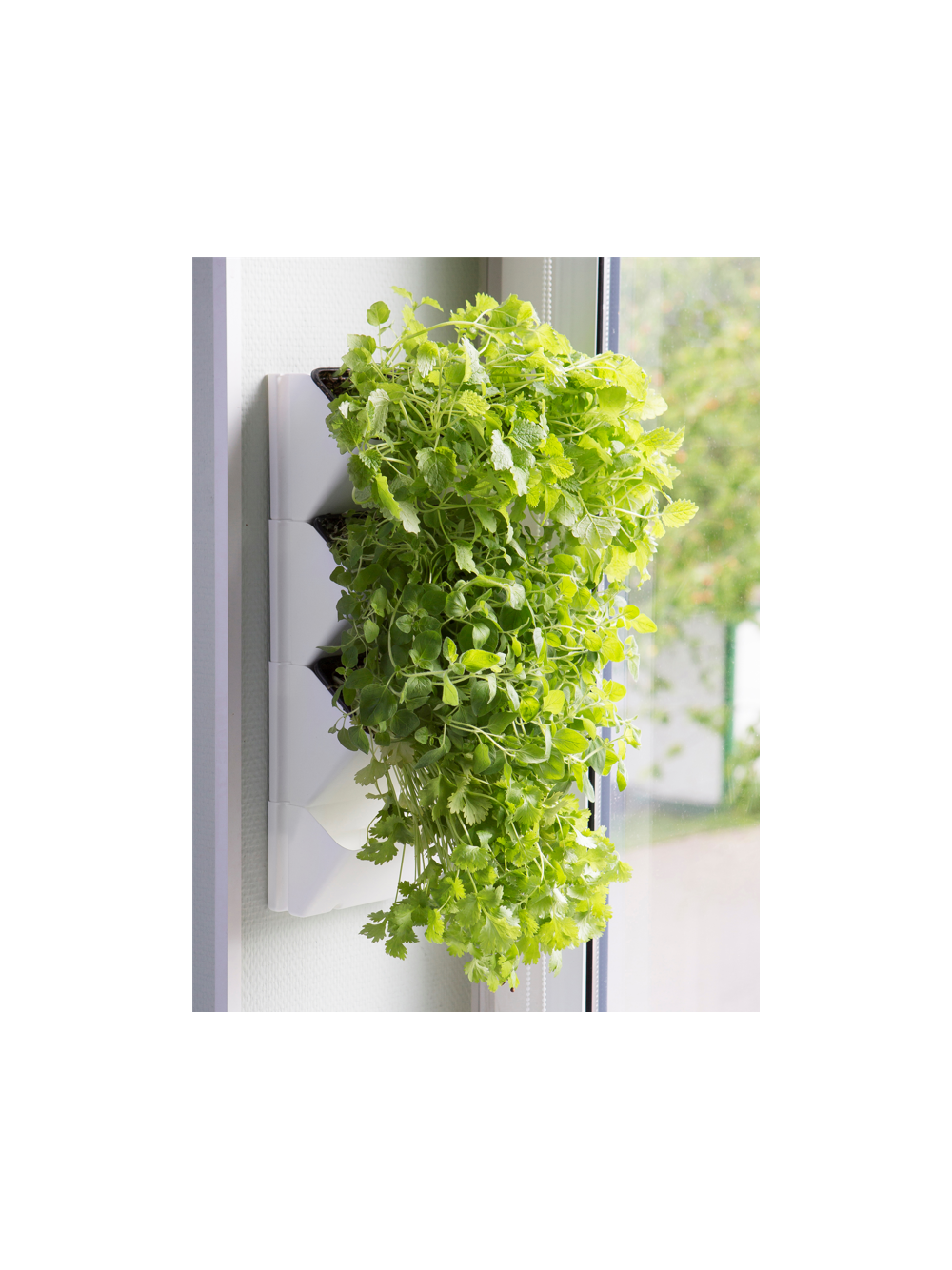 AQUAEL Zielnik ścienny Versa Garden Herbs