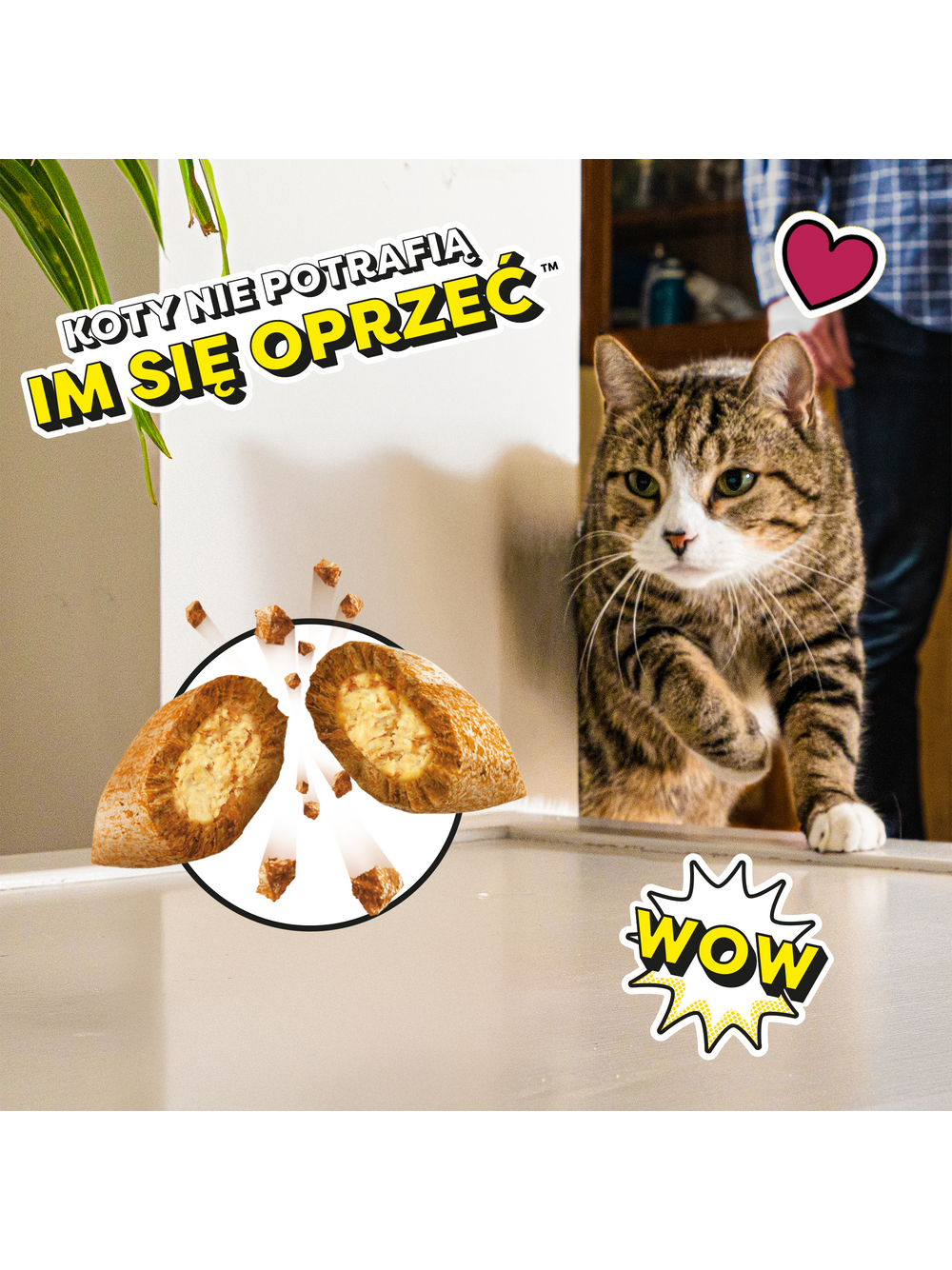 DREAMIES Chrupiące Przysmaki dla Kota o smaku Łososia 180 g