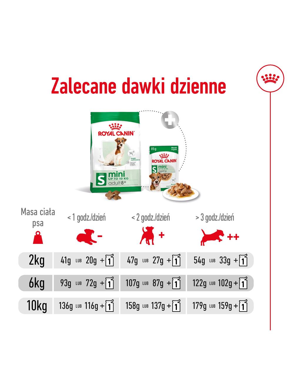 ROYAL CANIN Mini Adult +8  8kg karma sucha dla psów starszych od 8 do 12 roku życia, ras małych