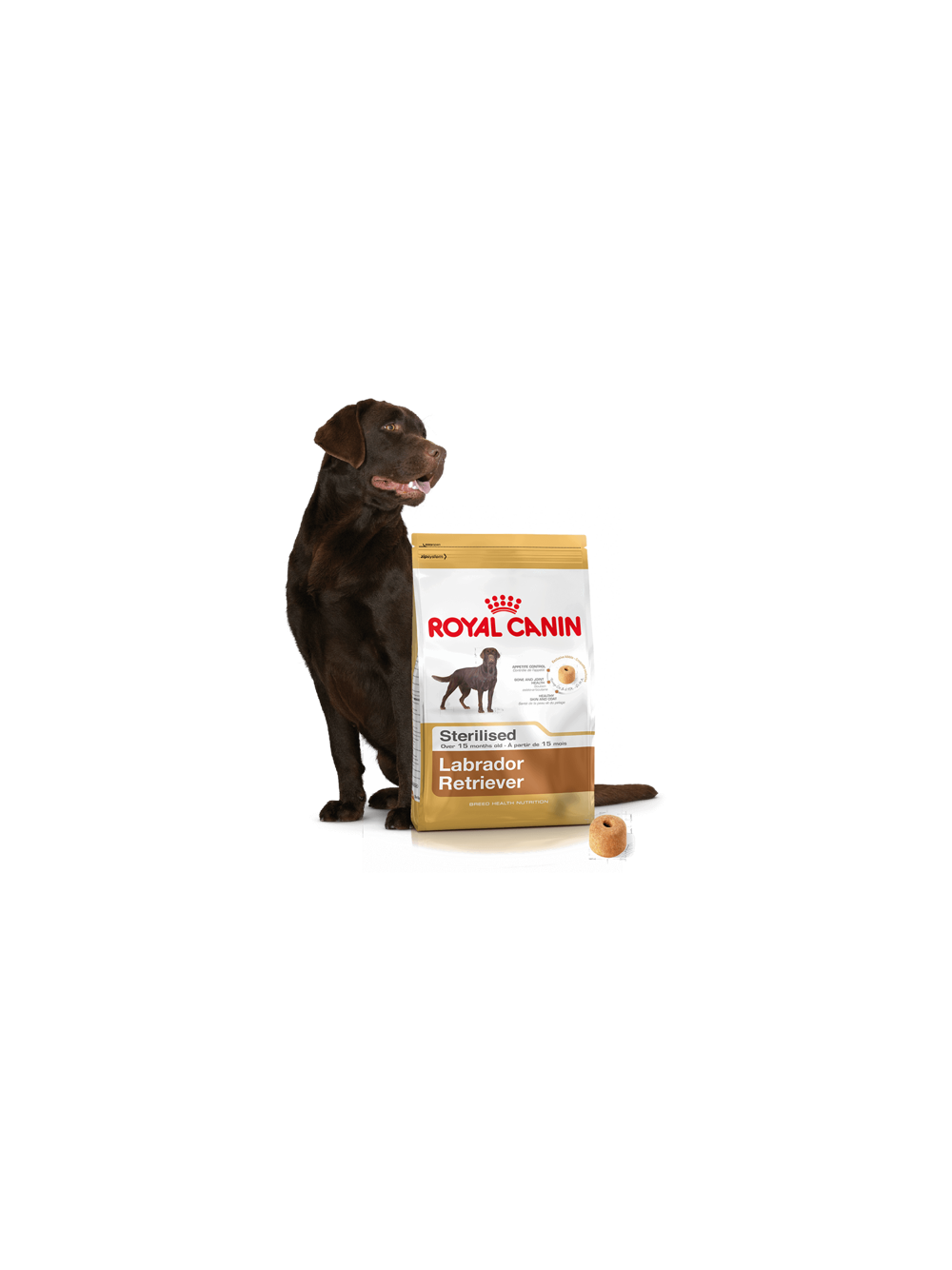 ROYAL CANIN Labrador Retriever Sterilised Adult 12kg + niespodzianka dla psa GRATIS!