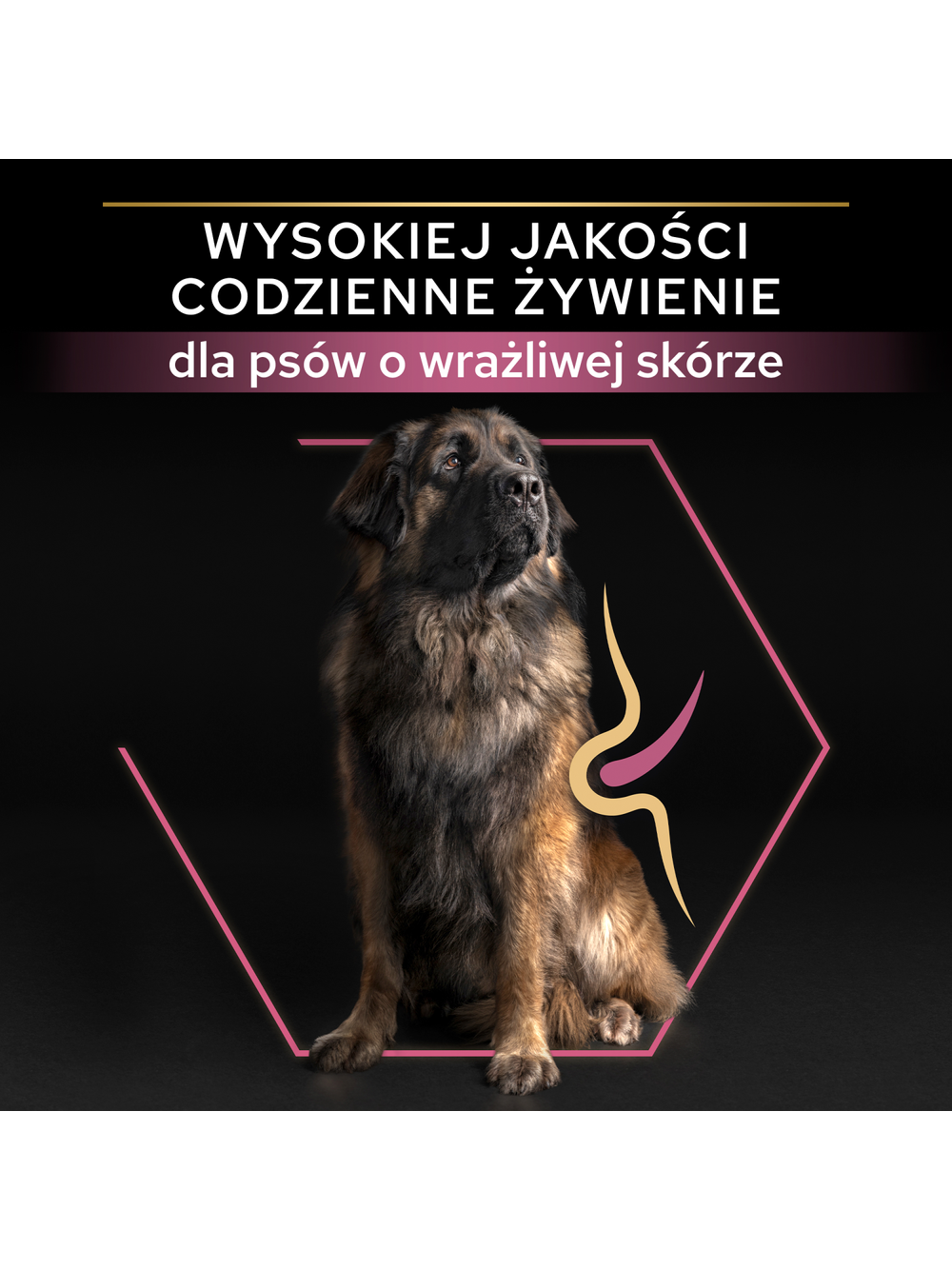 PRO PLAN Sensitive Skin Large Robust Adult Karma dla psów bogata w łososia 14kg+ niespodzianka dla psa GRATIS!