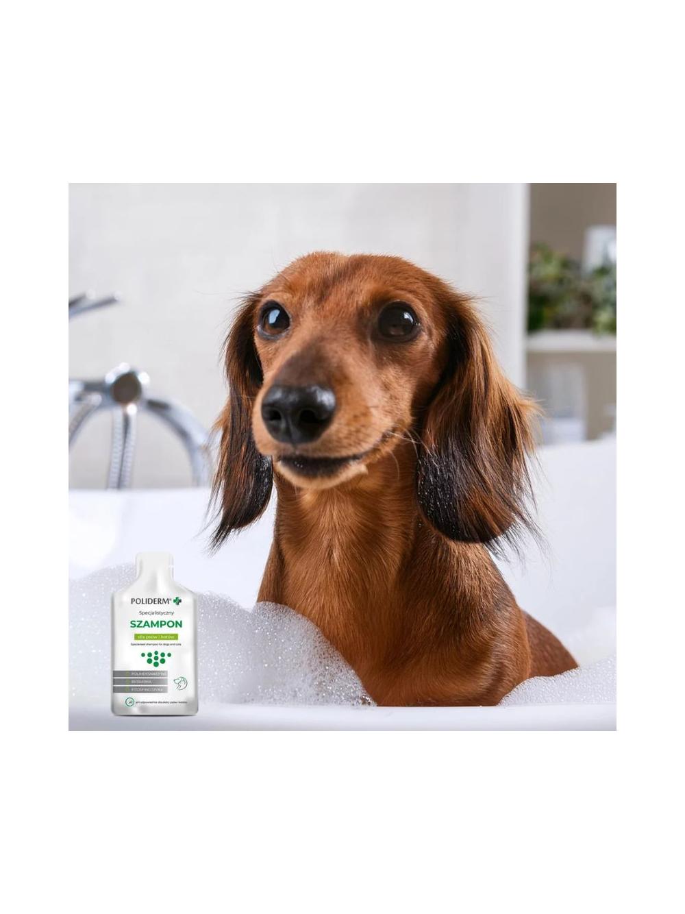 POLIDERM® SZAMPON SASZETKA – pielęgnacja sierści dla psa i kota 15 ml