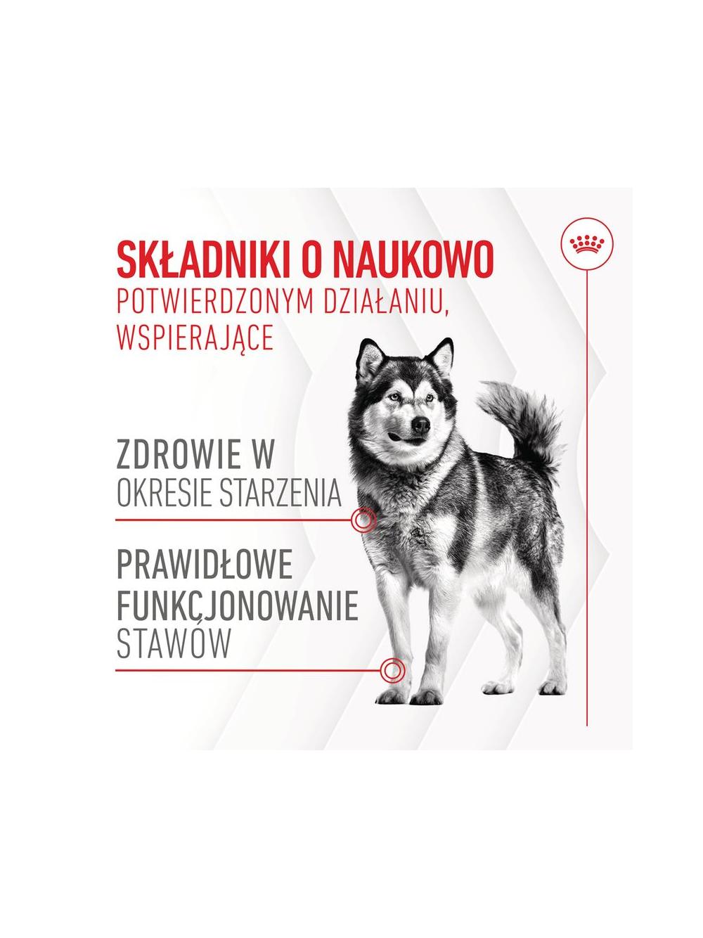 Royal Canin Joint & Ageing Adult Chews 240g