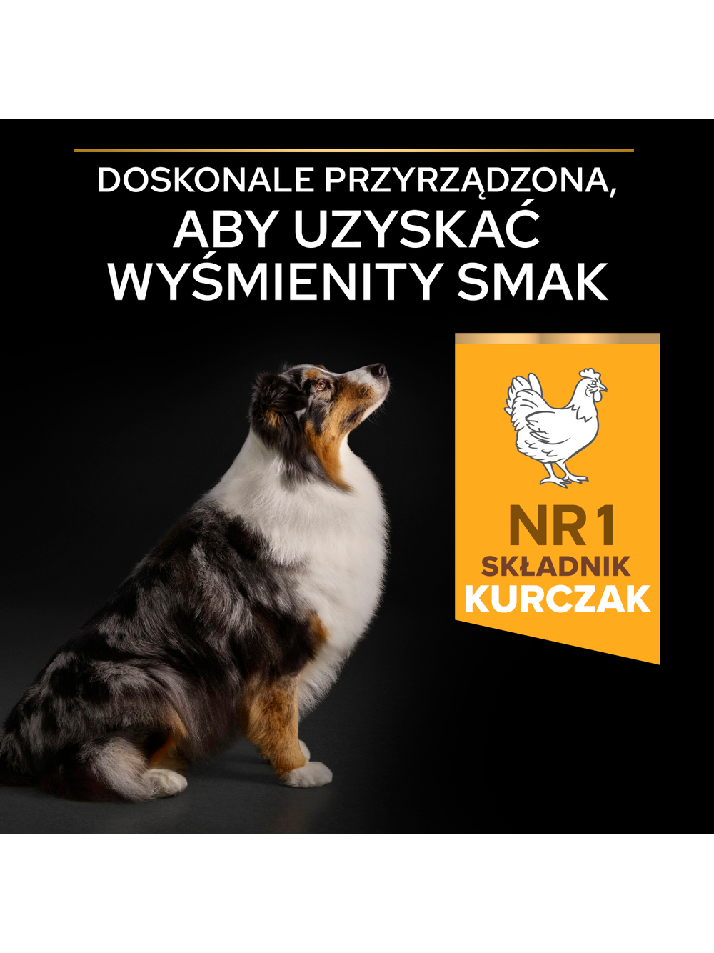 Purina Pro Plan Medium & Large Adult 7+ Optiage 14kg  niespodzianka dla psa GRATIS!