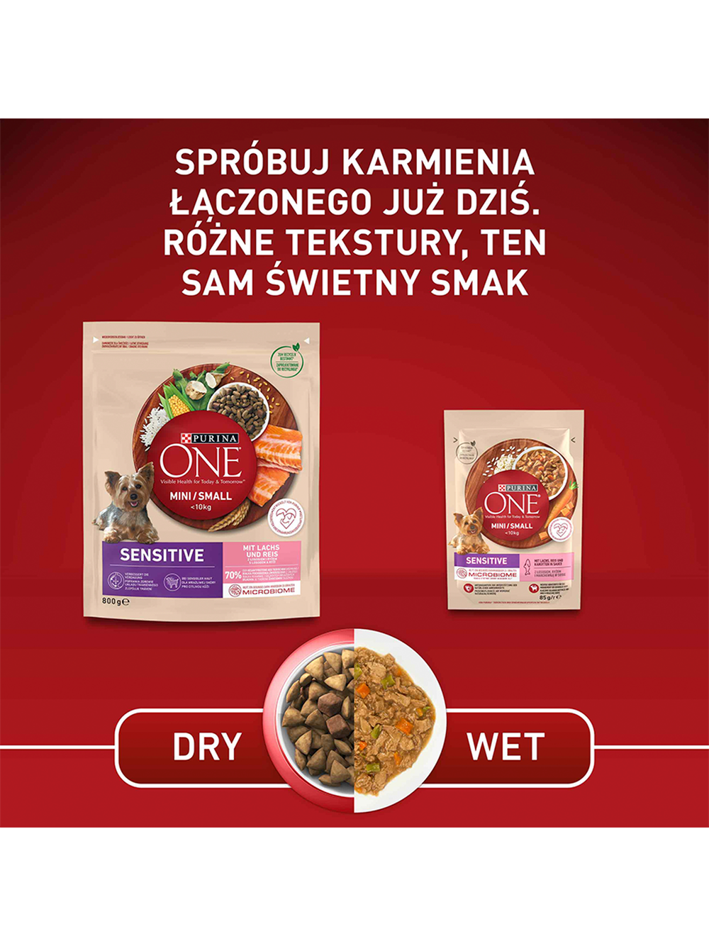 PURINA ONE Mini/Small Sensitive Łosoś, ryż - sucha karma dla psa - 800 g