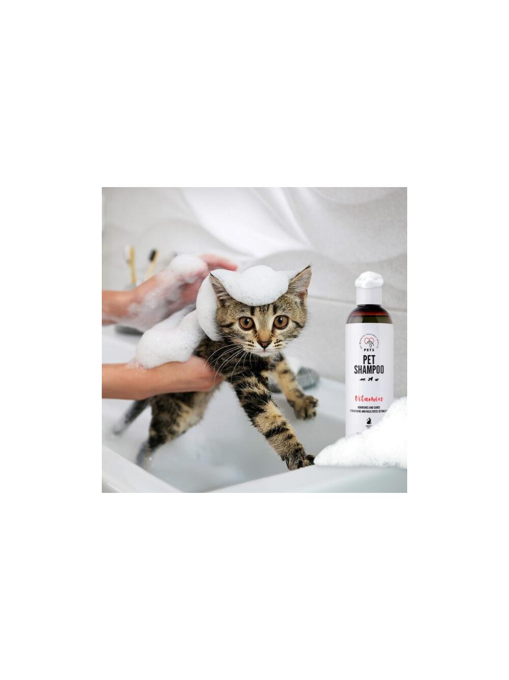 PETS “Lśniący Wąsik” – Pakiet Dla Właścicieli Kotów