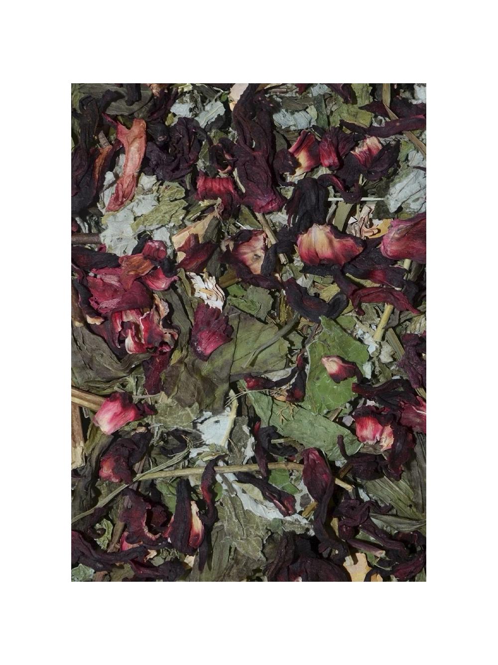 Korona Natury Paśnik pokarm dla królików i gryzoni Mieszanka ziołowa z hibiskusem 70 g