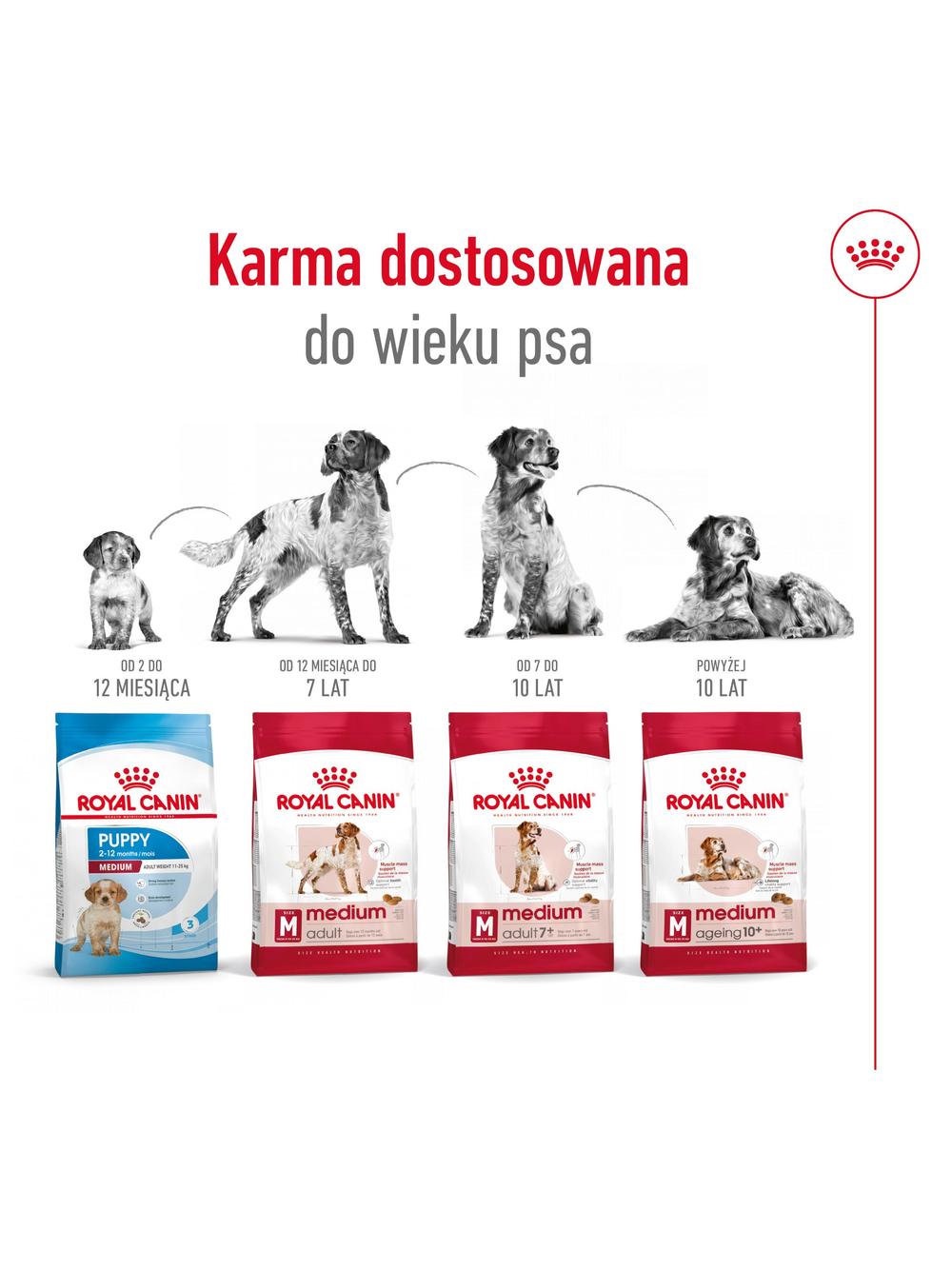 ROYAL CANIN®   Medium Adult 15kg karma sucha dla psów dorosłych ras średnich, do 7 roku życia / Opakowanie uszkodzone (7540,8374,9259,9588,9657) !!!