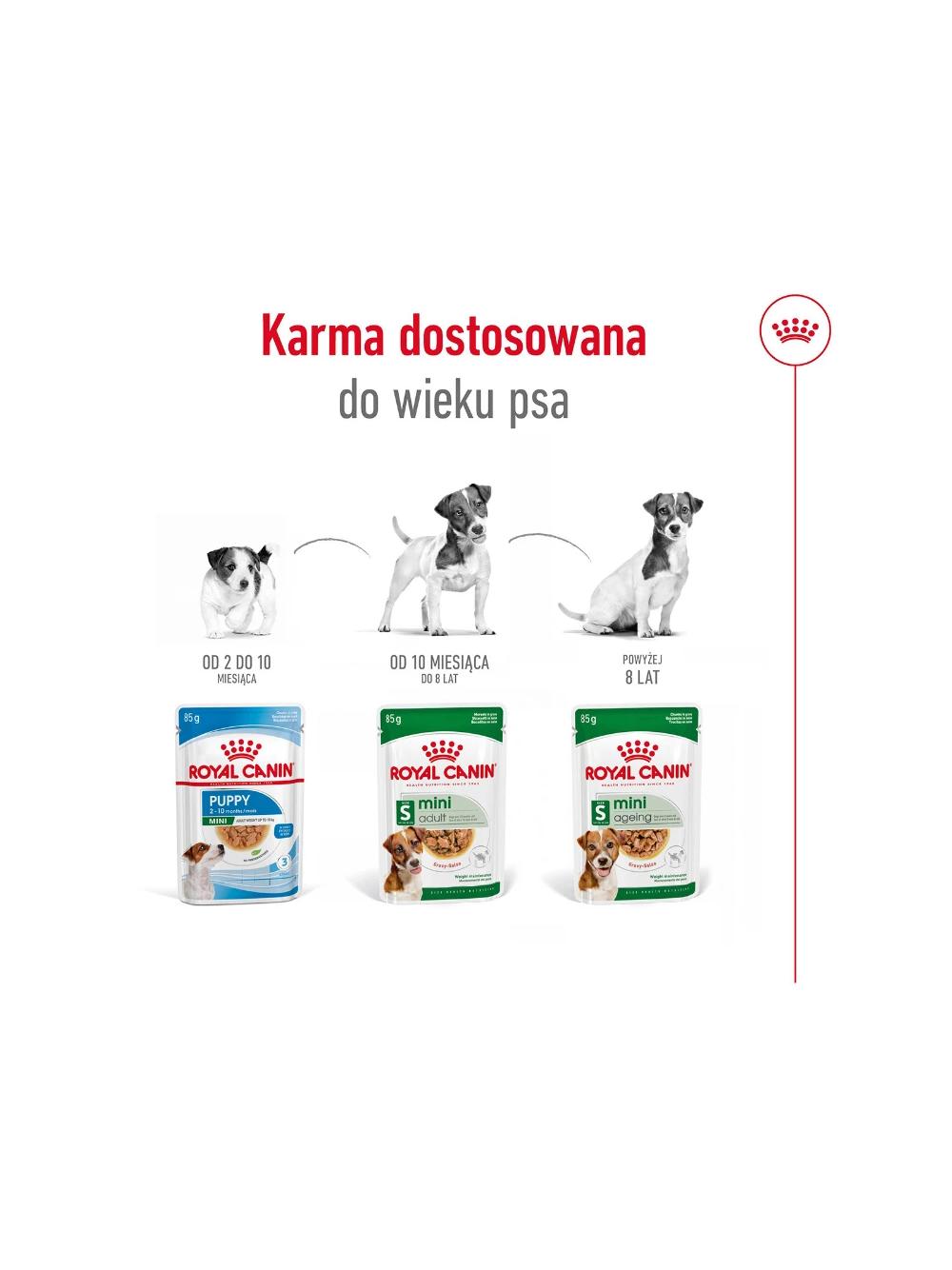 ROYAL CANIN Mini Ageing 12+ 12x85g  karma mokra w sosie dla psów dojrzałych po 12 roku życia, ras małych