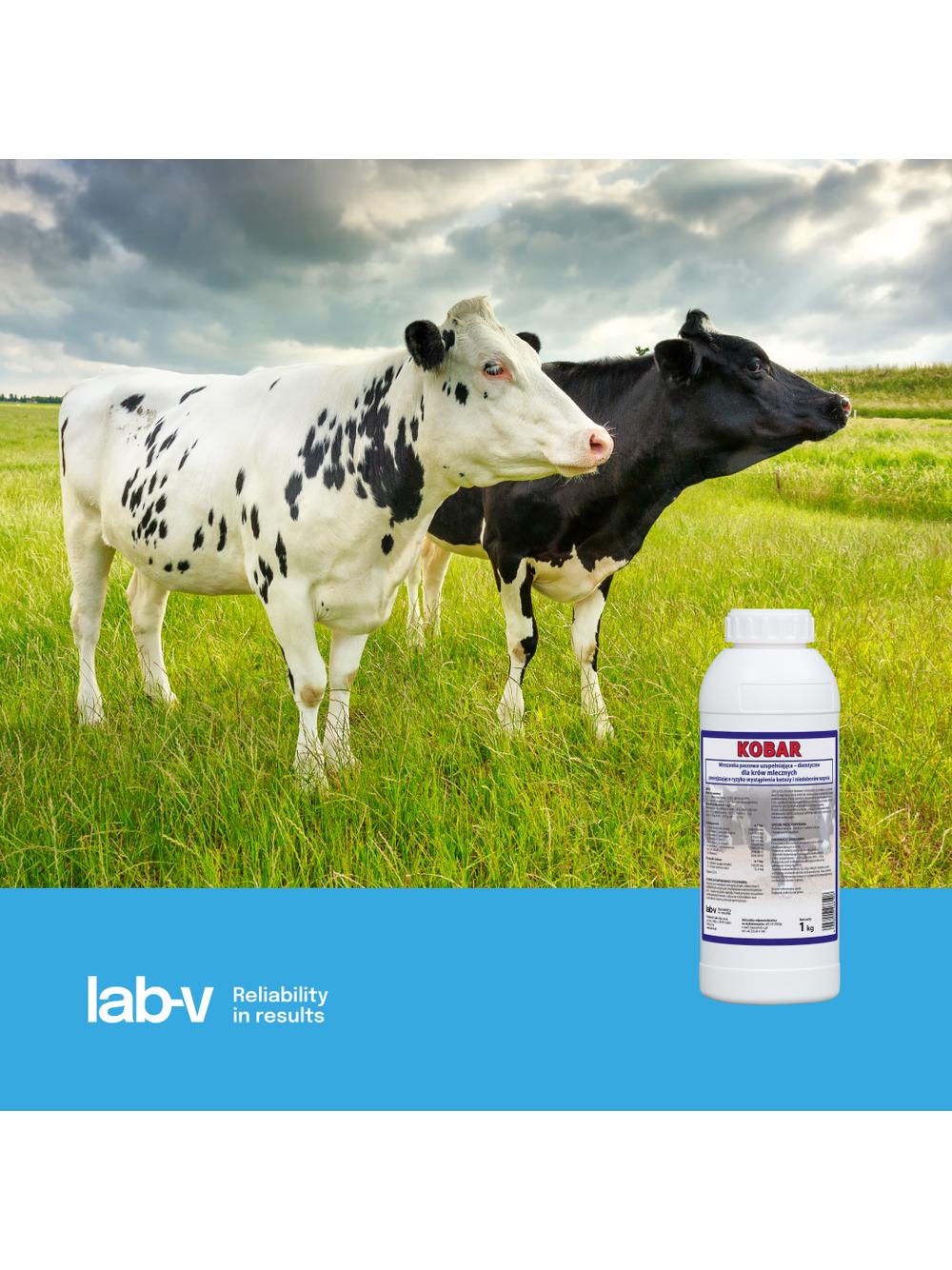 Lab-v Kobar - Mieszanka Paszowa Uzupełniająco-dietetyczna Dla Krów Mlecznych 1kg