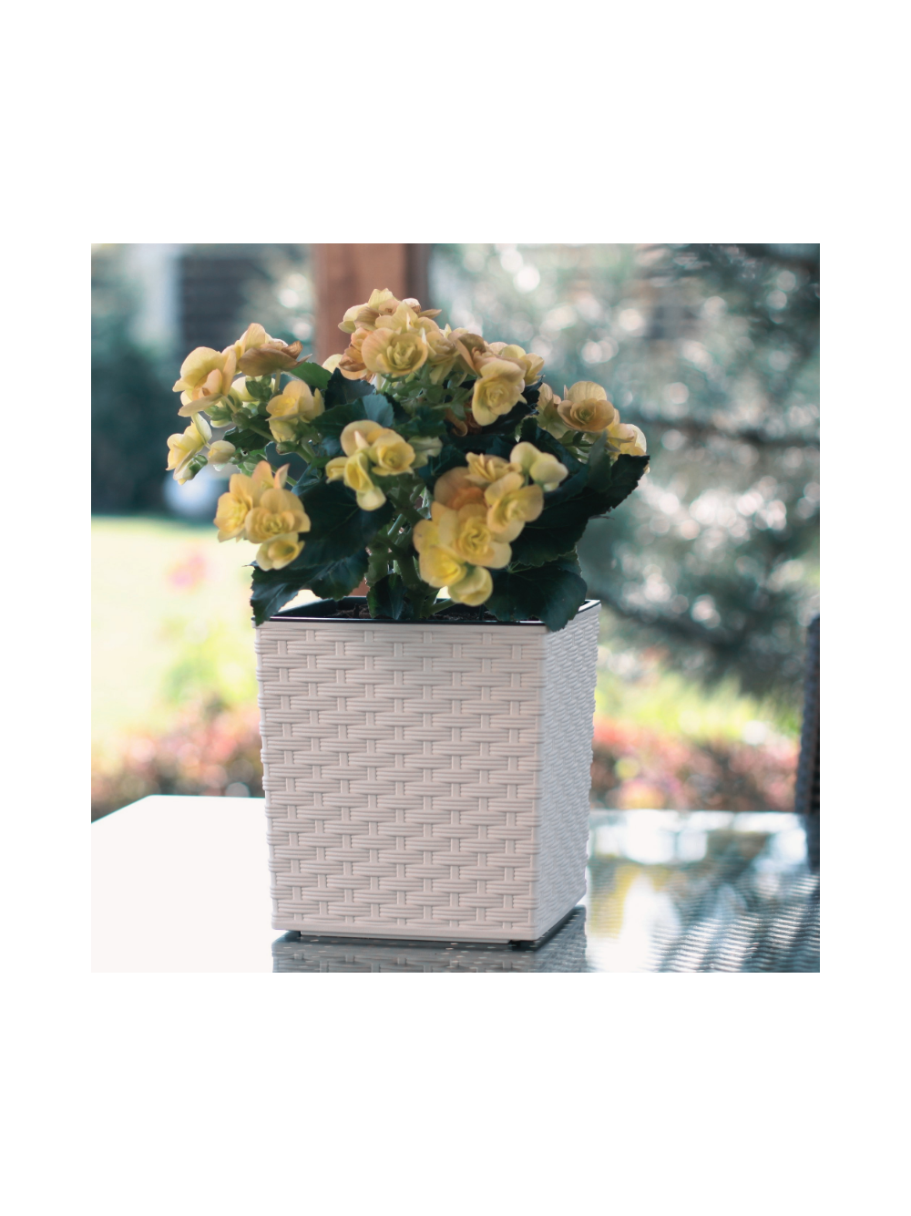 Donica JUKA 250x250 rattan - biały