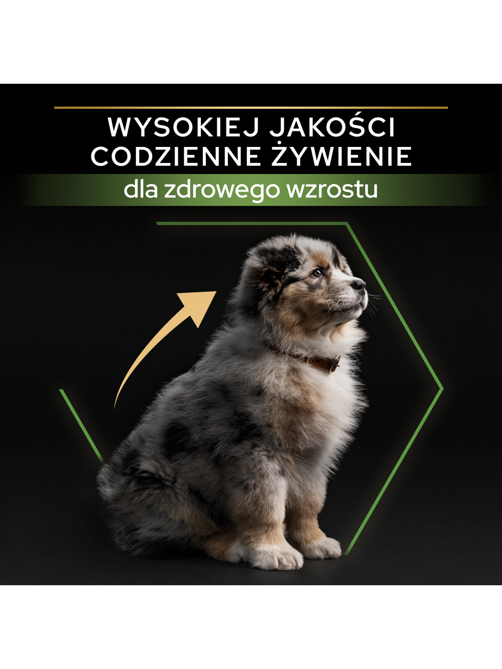 PRO PLAN Health Start Puppy Karma dla szczeniąt bogata w kurczaka 12kg