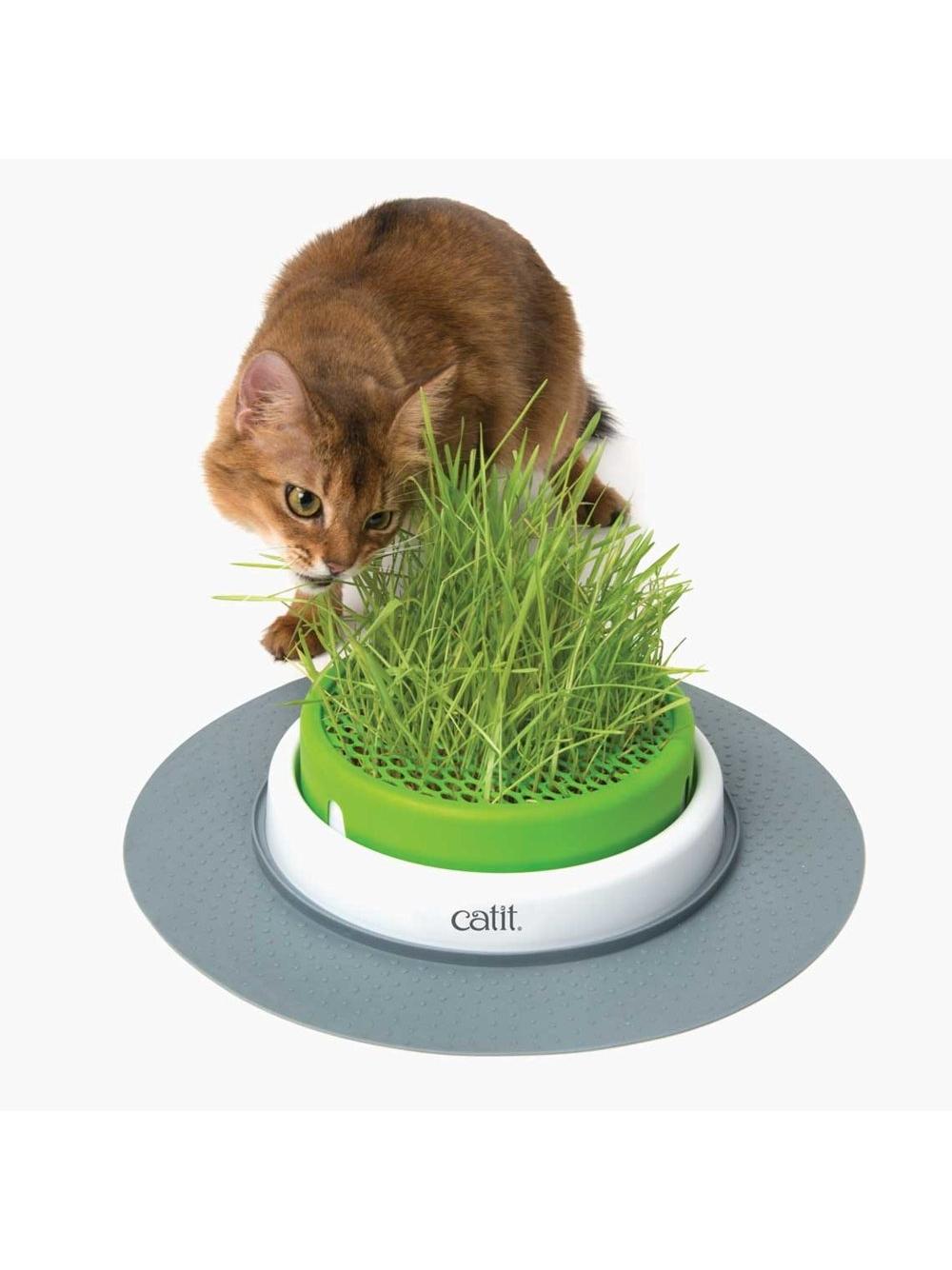 CATIT Zestaw- ogród z trawą