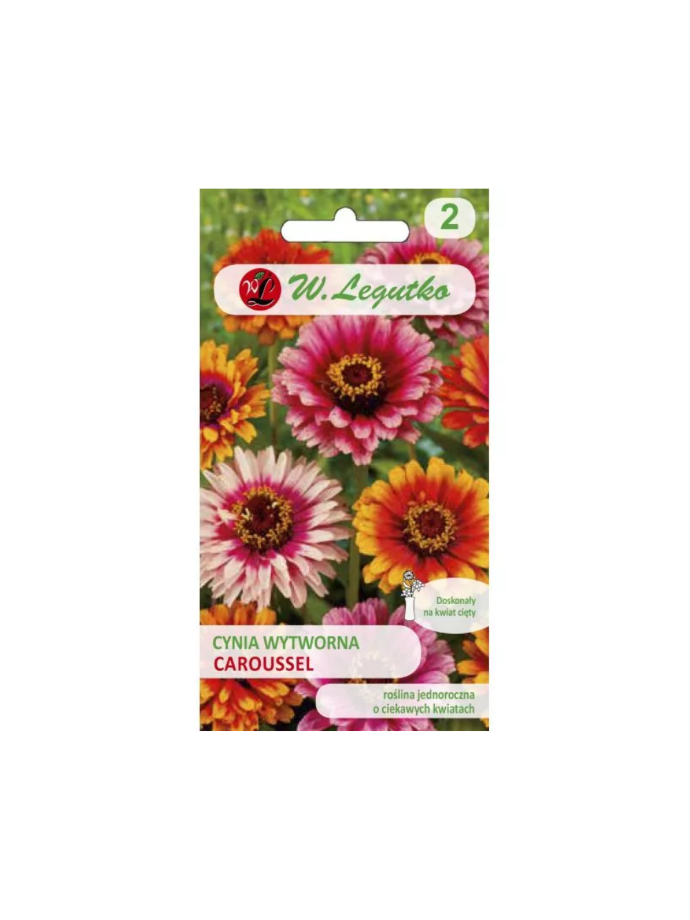 Cynia wytworna daliowa Caroussel - mieszanka o kwiatach dwubarwnych