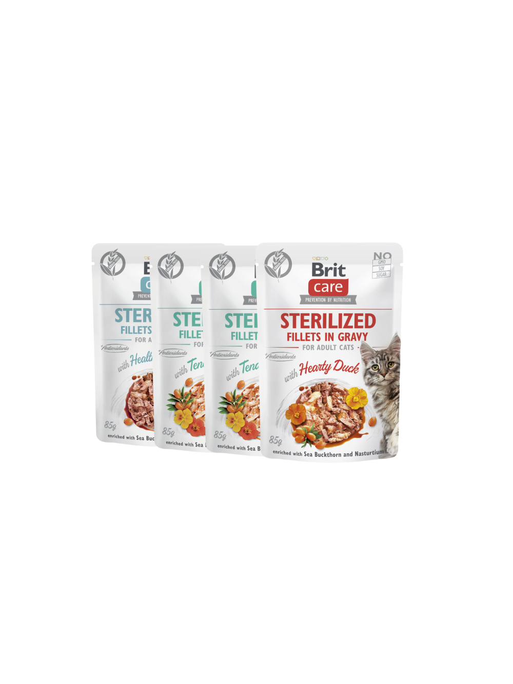 BRIT CARE Cat Sterilized Fillets in Gravy mix 12x85g