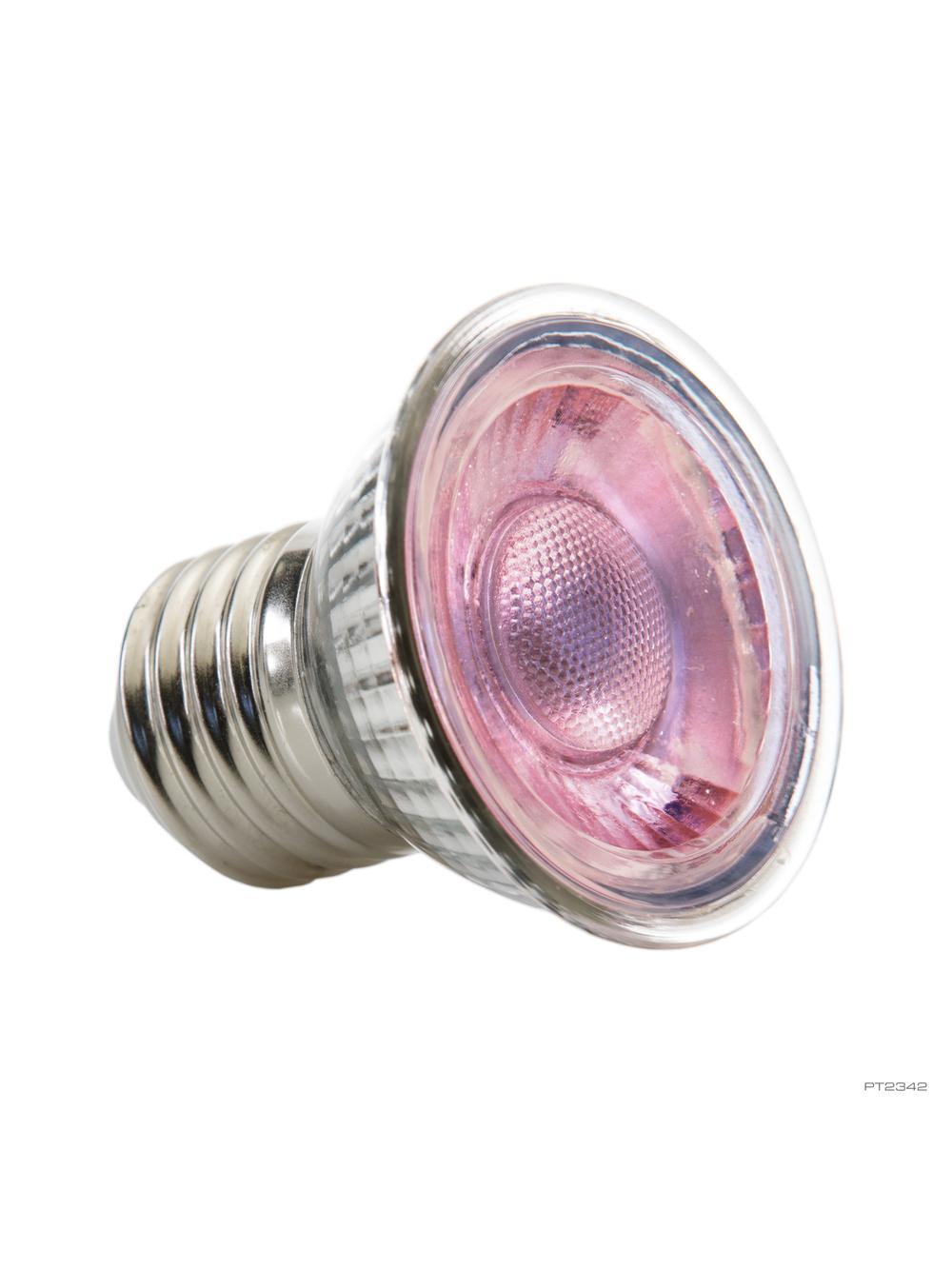 EXO TERRA żarówka reptile UVB 150 5W