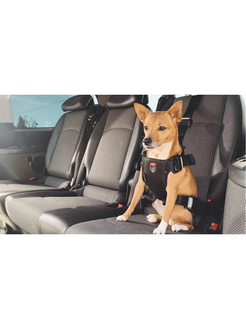 ZOLUX Szelki dla psa TRAVEL SAFE S czarne