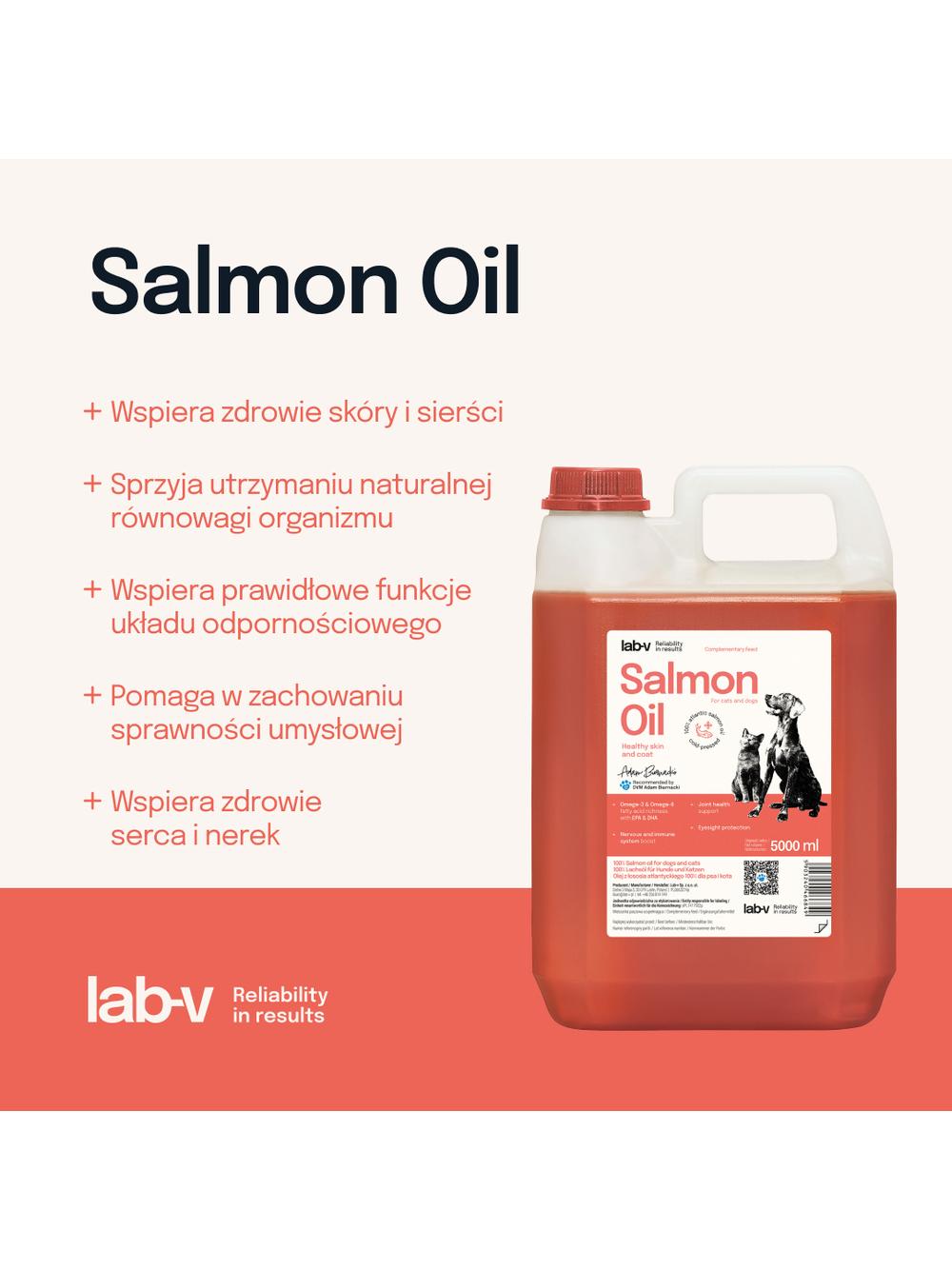 Lab-v Olej z Łososia 100% Dla Psa i Kota w Każdym Wieku 5000 ml Tłoczony Na Zimno + NIESPODZIANKA DLA PSA GRATIS