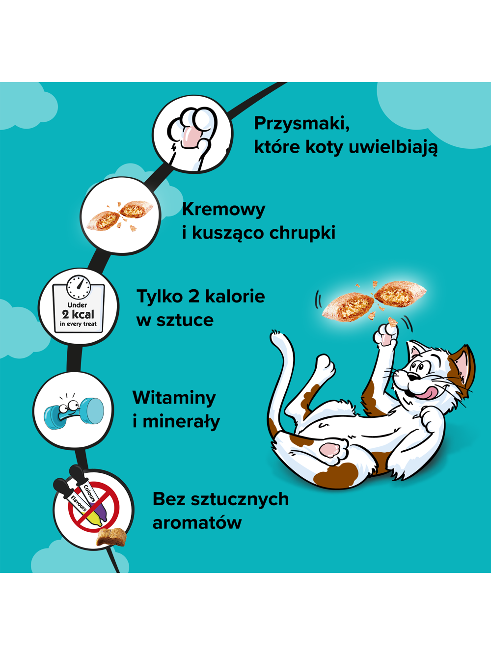 DREAMIES 60g –przysmak dla kota, o smaku wybornego łososia