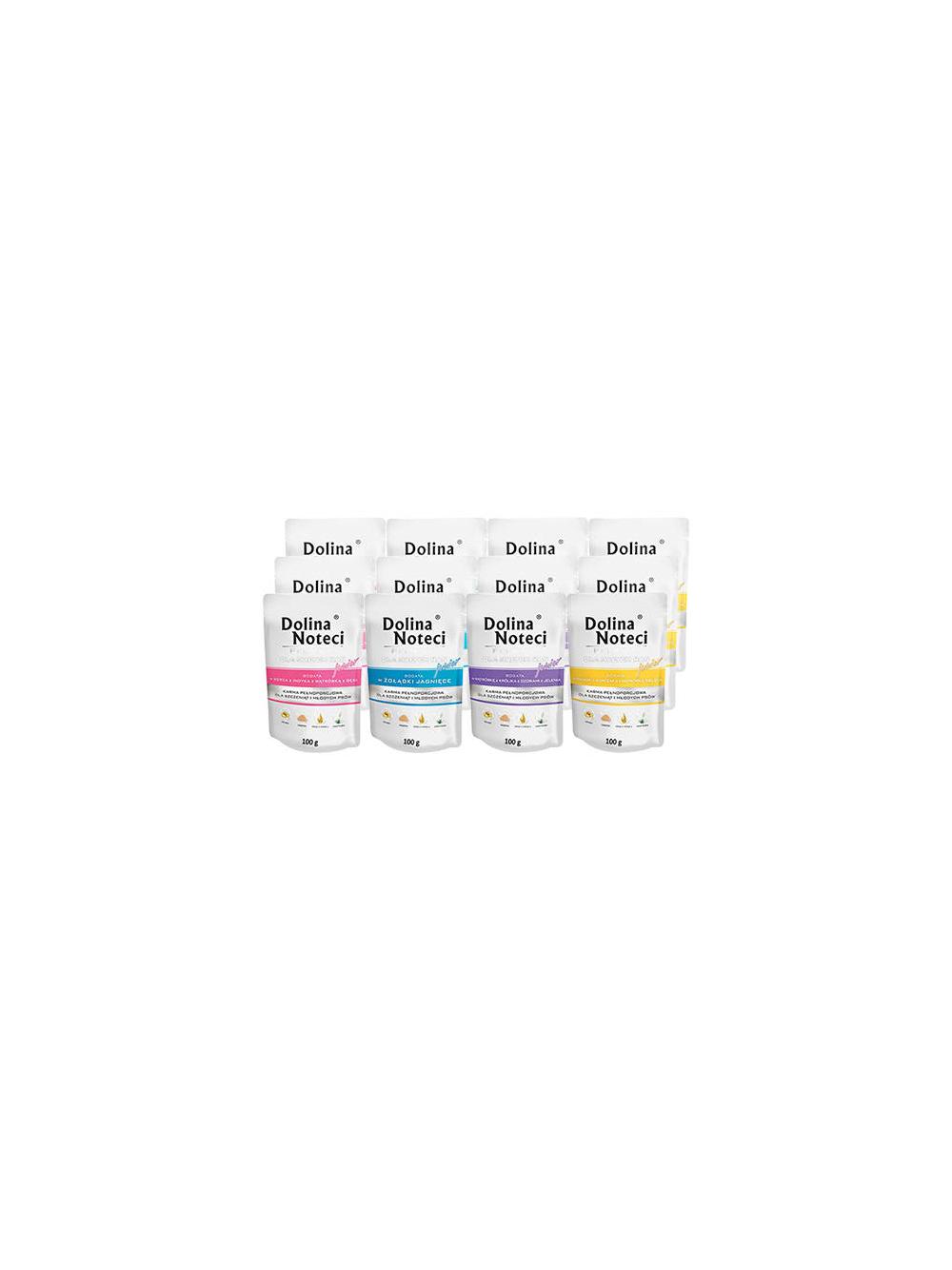 Dolina Noteci PREMIUM dla psów małych ras JUNIOR MIX SMAKÓW 12x100g