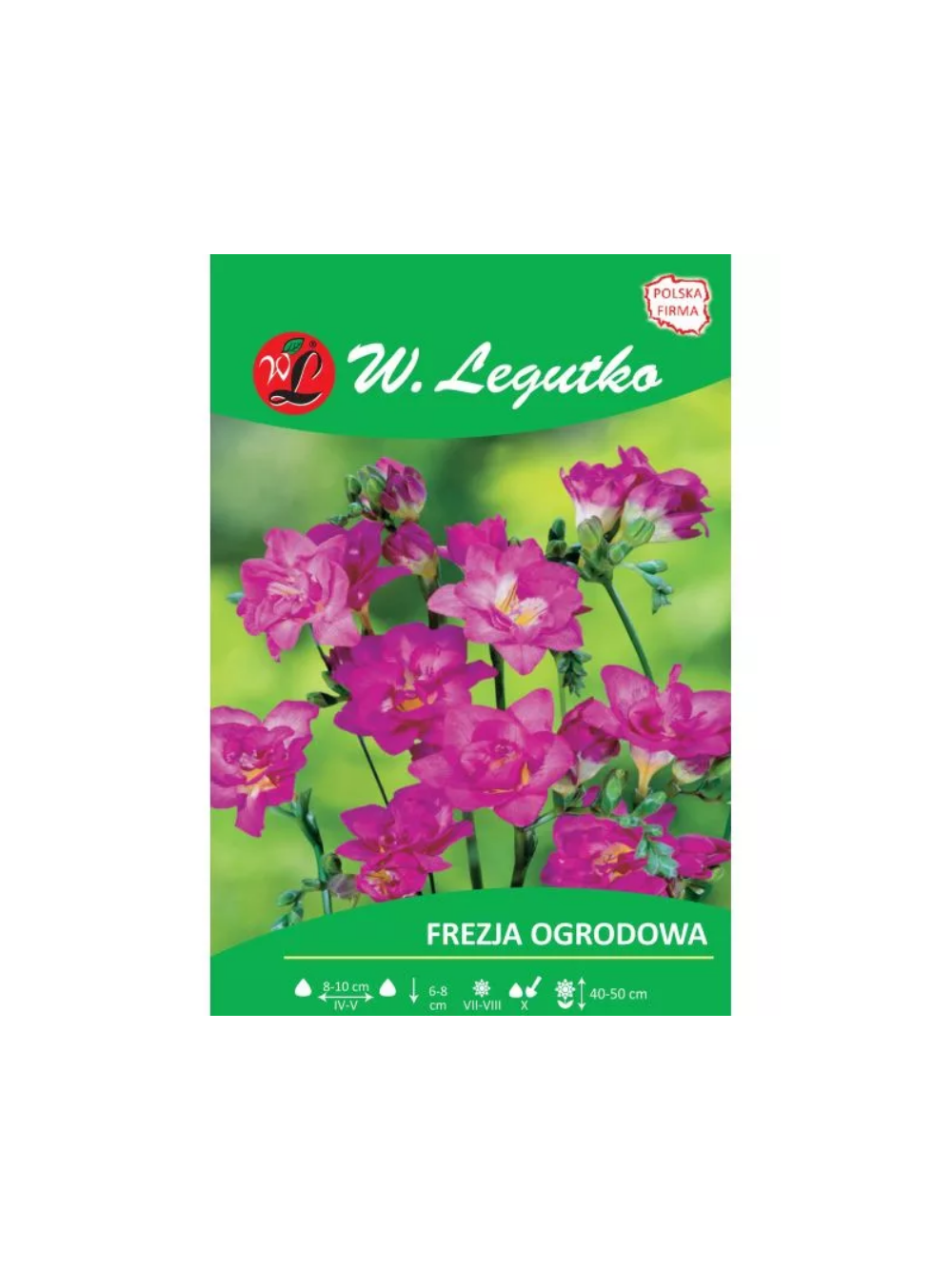 Frezja różowa 10szt.