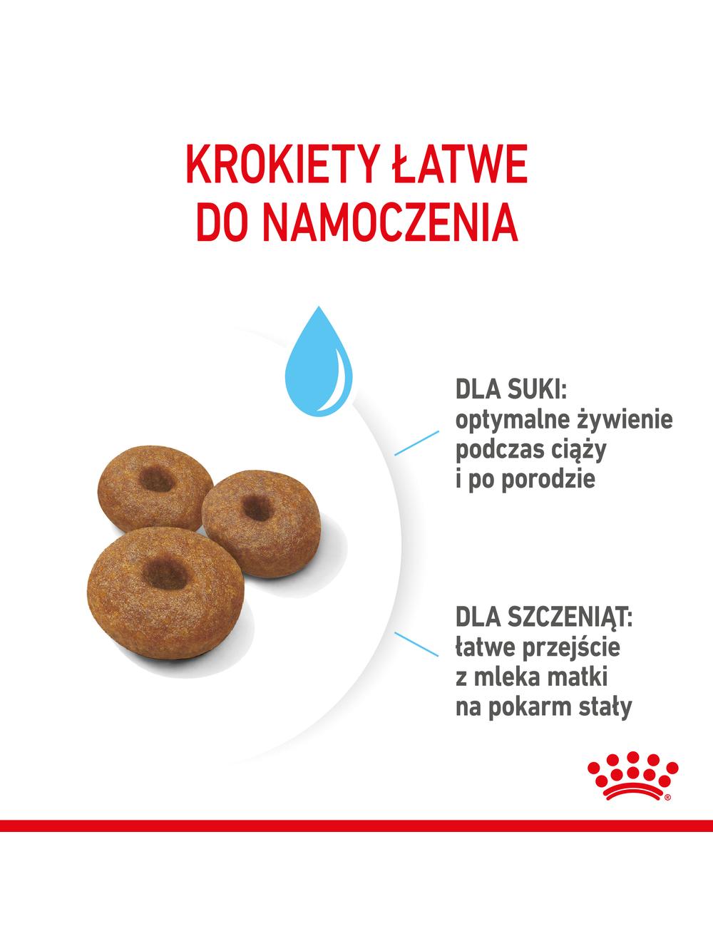 ROYAL CANIN Maxi Starter Mother&Babydog 15kg karma sucha dla suk w ciąży i okresie laktacji oraz szczeniąt, od 4 do 8 tygodnia życia, ras dużych
