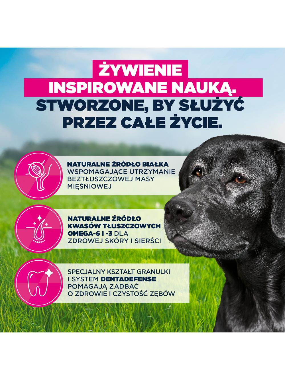 EUKANUBA Mature&Senior Small & Medium Breeds Lamb & Rice 12kg