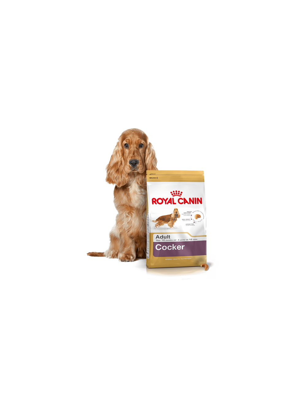 ROYAL CANIN Cocker Spaniel Adult 12kg karma sucha dla psów dorosłych rasy cocker spaniel + niespodzianka dla psa GRATIS!