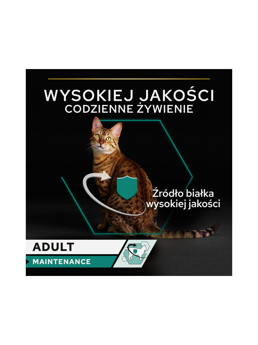 PRO PLAN Adult Wilgotny pasztet z kurczakiem Mokra karma dla kota 12x85g