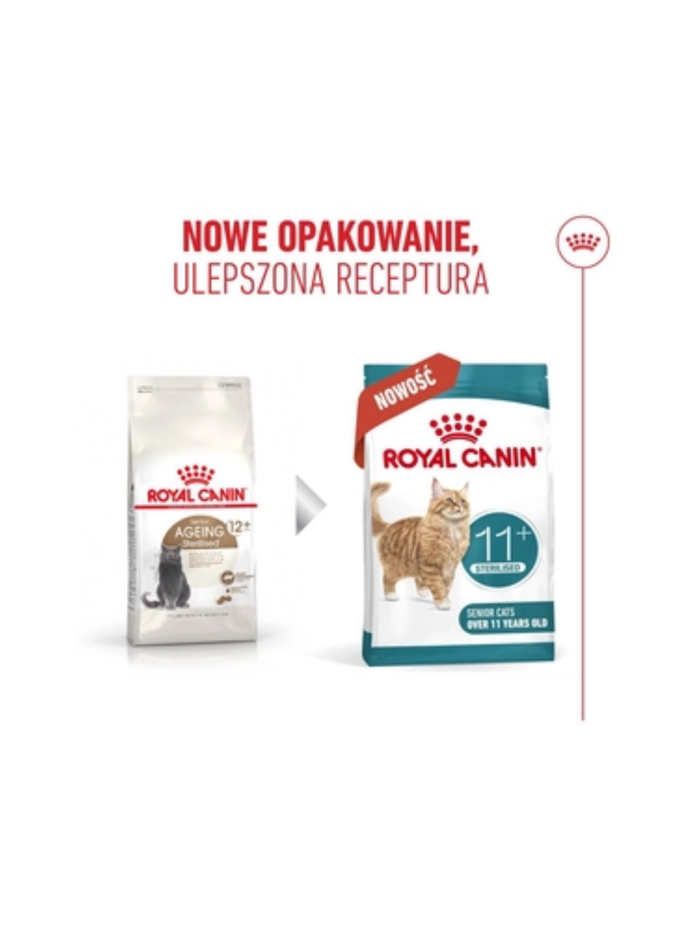 ROYAL CANIN Ageing Sterilised 11+ 4kg karma sucha dla kotów dojrzałych po 11 roku życia, sterylizowanych