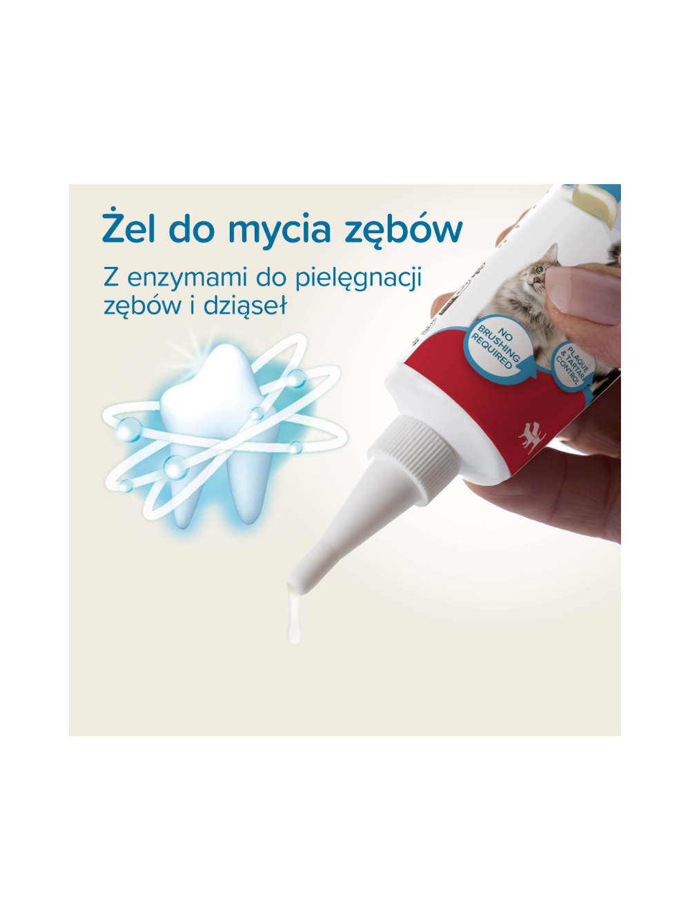 BEAPHAR-ŻEL DO MYCIA ZĘBÓW 100G - żel o smaku wątróbki dla psów i kotów