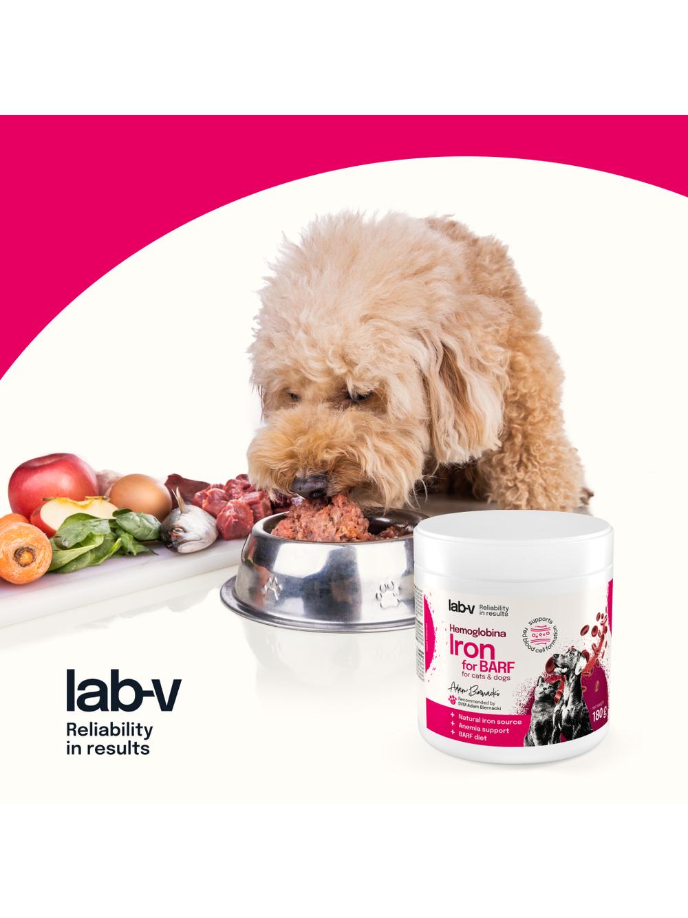 Lab-v Hemoglobina – naturalne żelazo hemowe do mieszanek BARF i diet domowych 180 g
