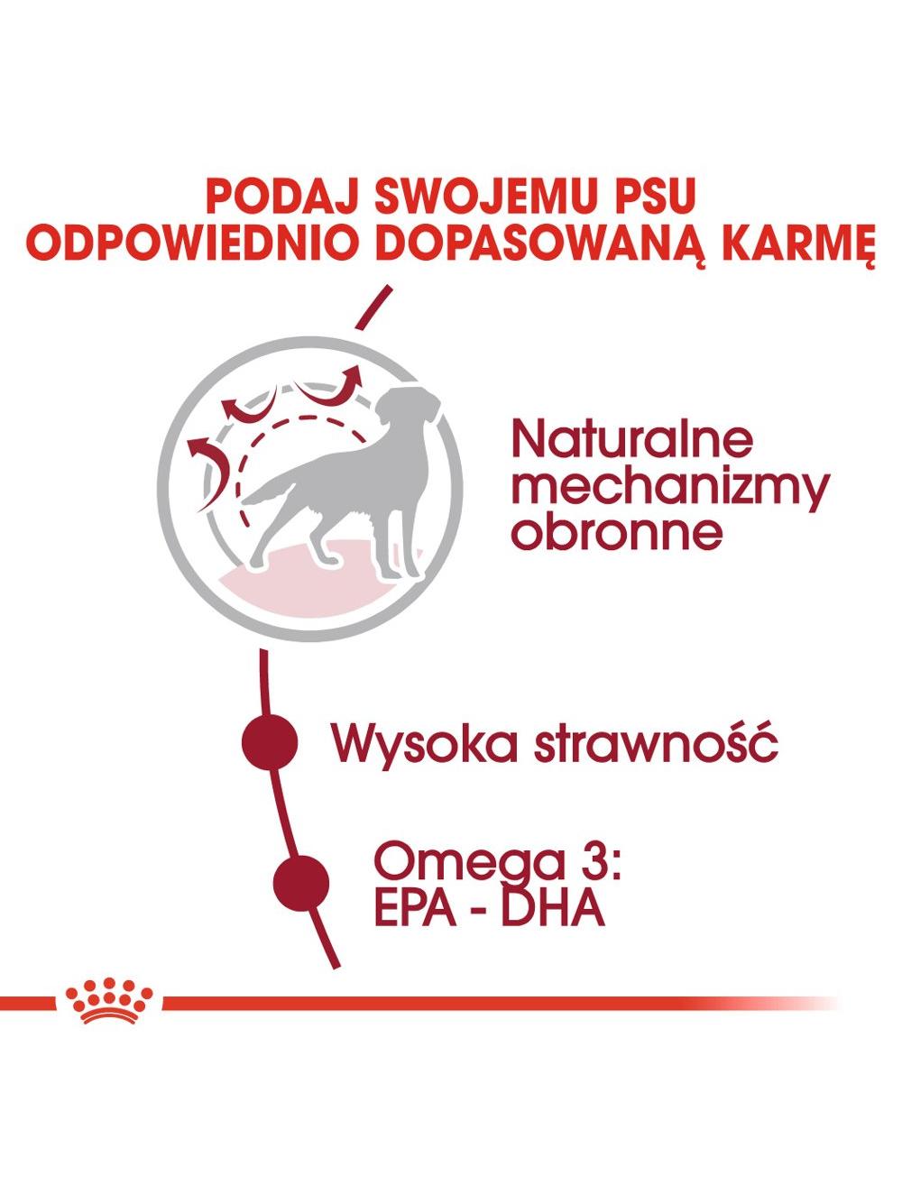 ROYAL CANIN Medium Adult 4kg karma sucha dla psów dorosłych, ras średnich