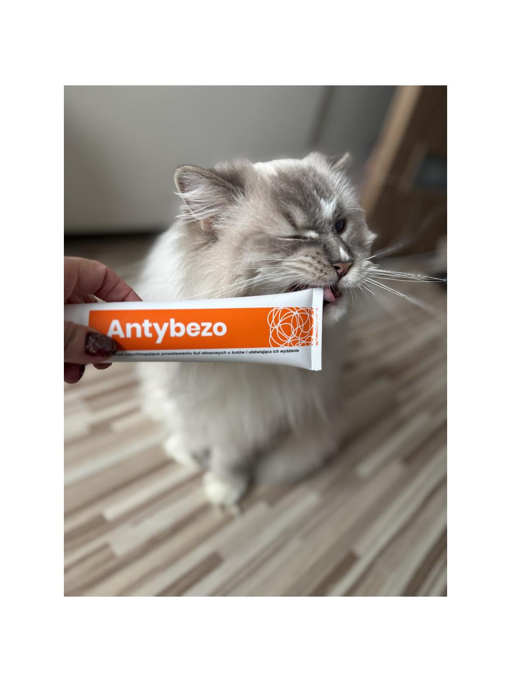 Lab-v Antybezo - pasta ułatwiająca wydalanie kul włosowych z przewodu pokarmowego kota i zapobiegająca ich powstawaniu 100 g