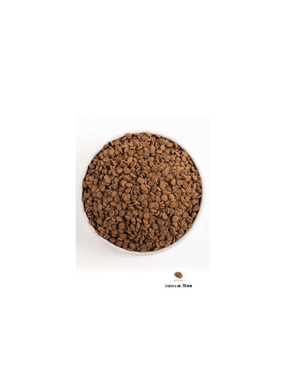 ORIJEN Original Cat 17kg+ niespodzianka dla kota GRATIS!