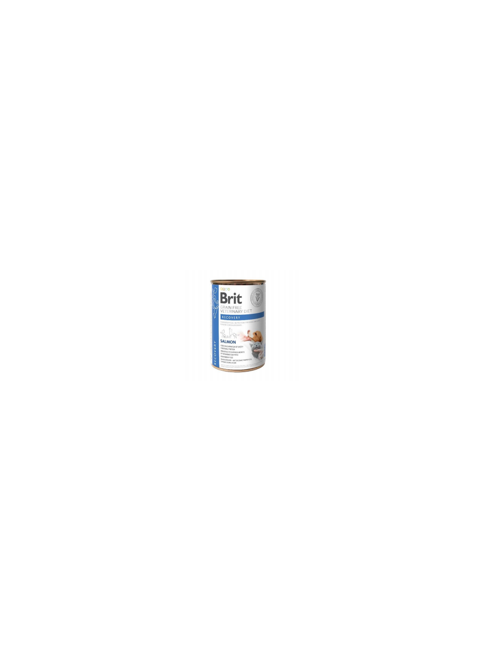 BRIT GF Veterinary Diets Recovery Salmon 12x400g - karma mokra dla psa i kota