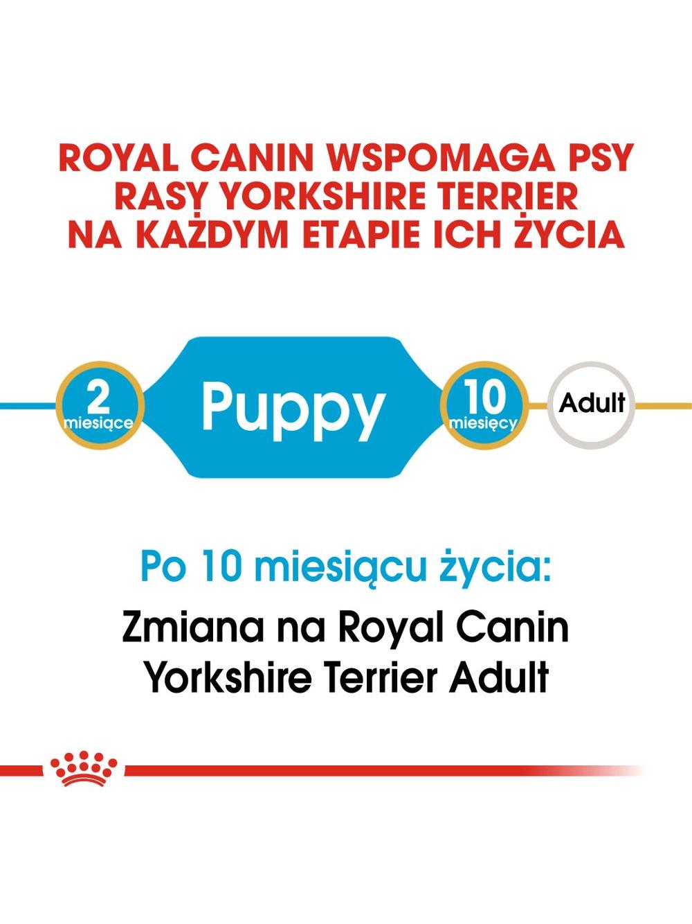 ROYAL CANIN Yorkshire Terrier Puppy 500g karma sucha dla szczeniąt do 10 miesiąca, rasy yorkshire terrier