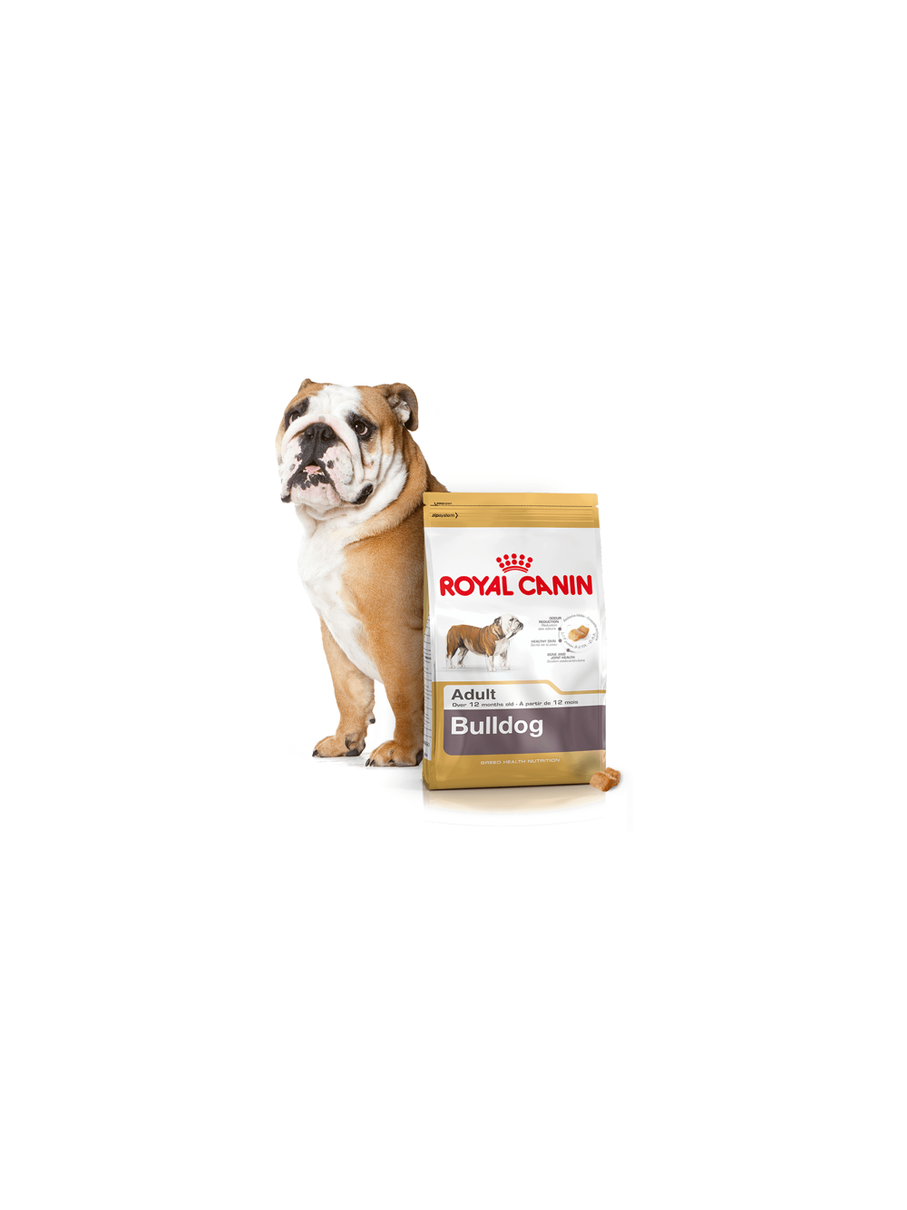 ROYAL CANIN Bulldog Adult 12kg karma sucha dla psów dorosłych rasy bulldog + niespodzianka dla psa GRATIS!
