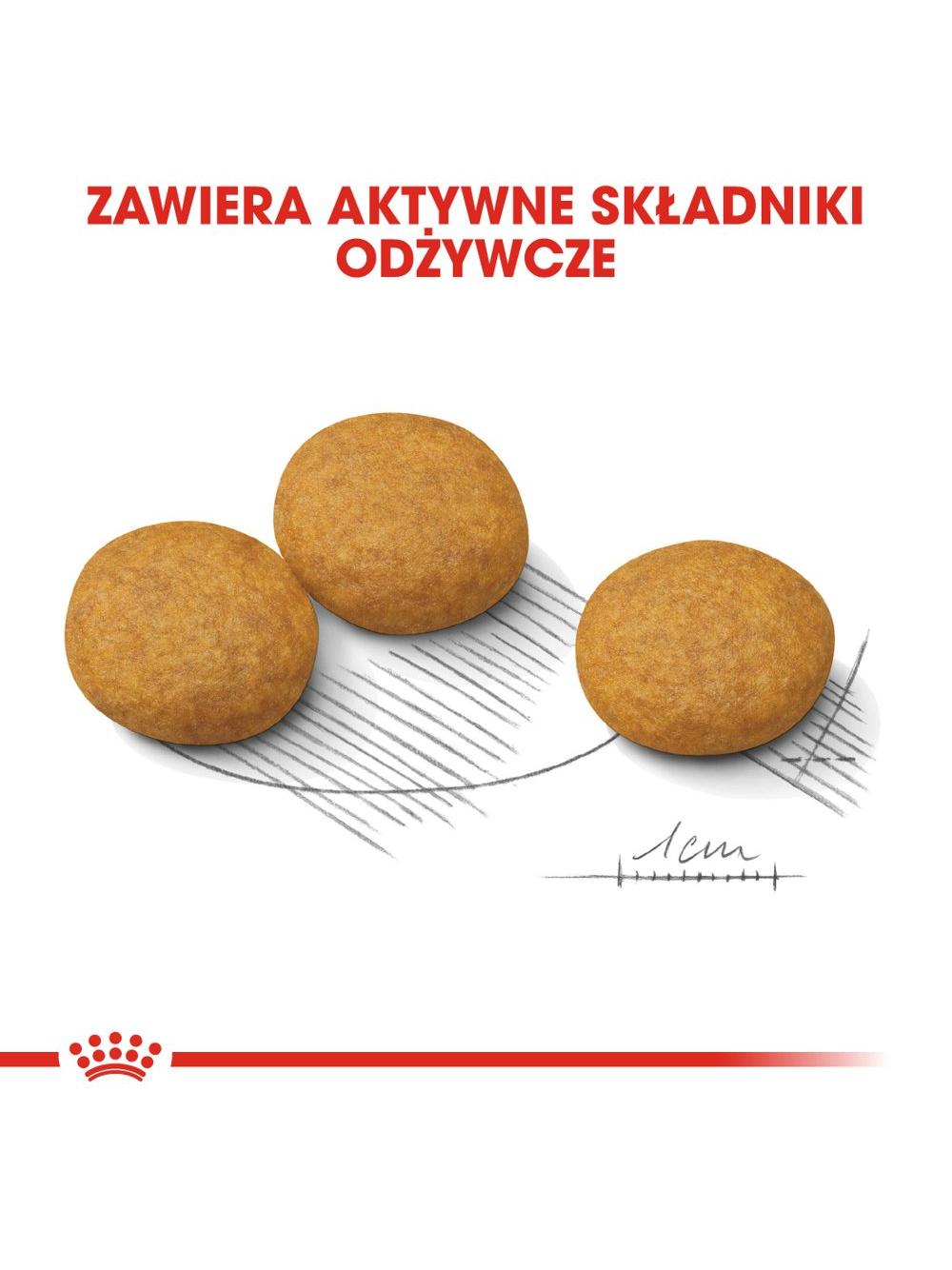 ROYAL CANIN CCN Medium Dermacomfort 12kg karma sucha dla psów dorosłych, ras średnich, o wrażliwej skórze, skłonnej do podrażnień / Opakowanie uszkodzone (4031,4529) !!!