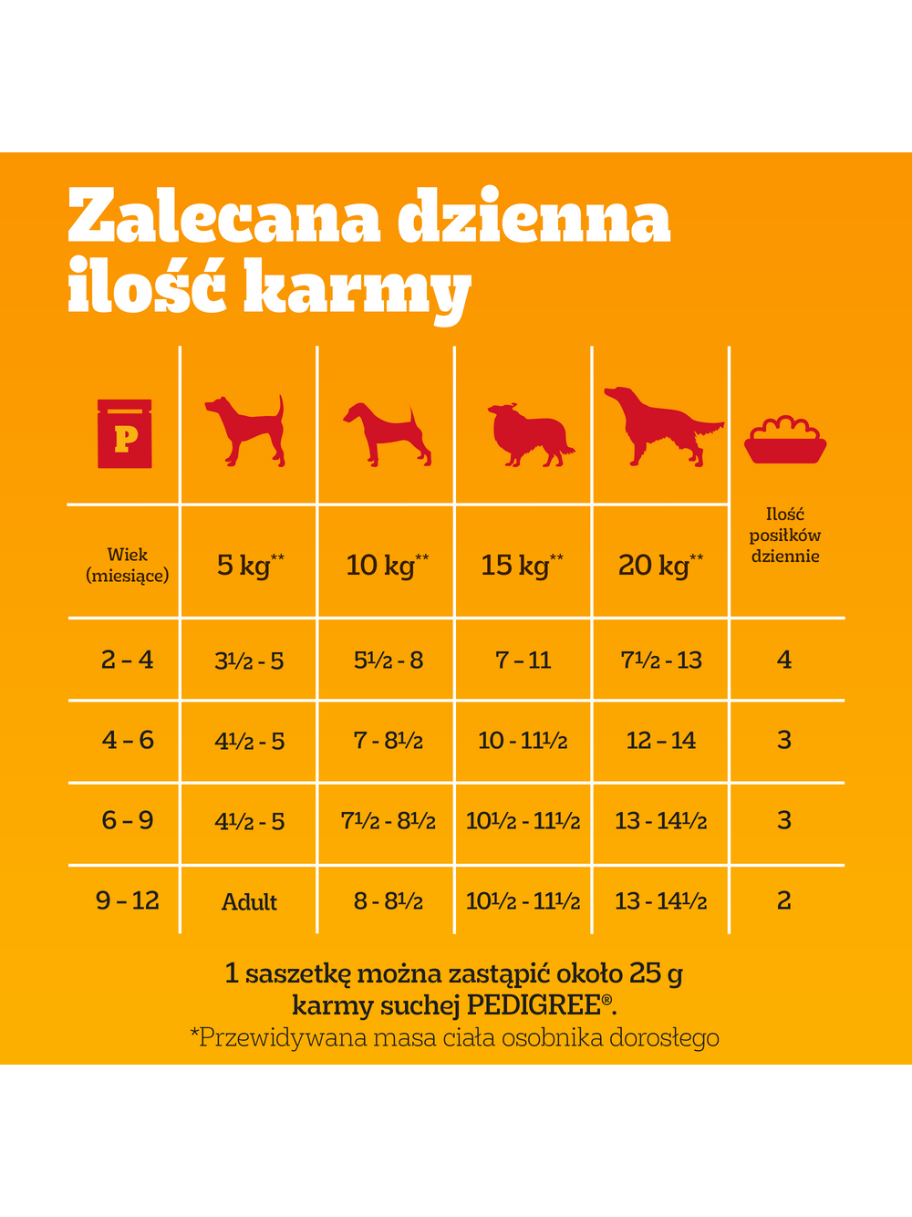 PEDIGREE Junior mix smaków w galaretce 12x100g