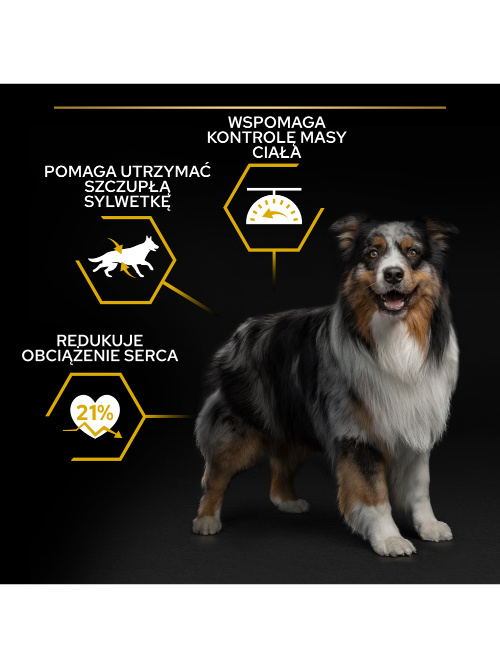 PRO PLAN Light Sterilised All Size Adult Karma dla psów bogata w kurczaka 3kg