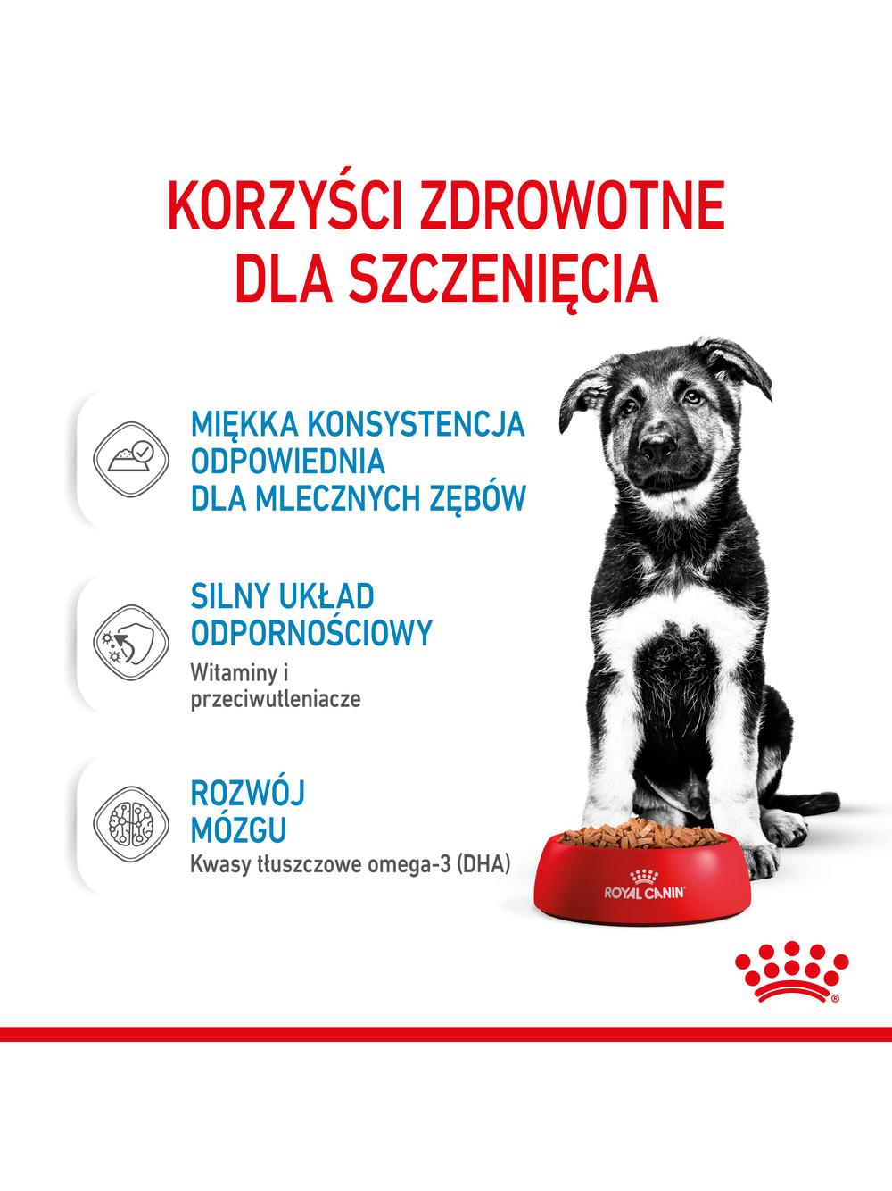 ROYAL CANIN Maxi Puppy 10x140g karma mokra w sosie dla szczeniąt do 15 miesiąca życia,  ras dużych
