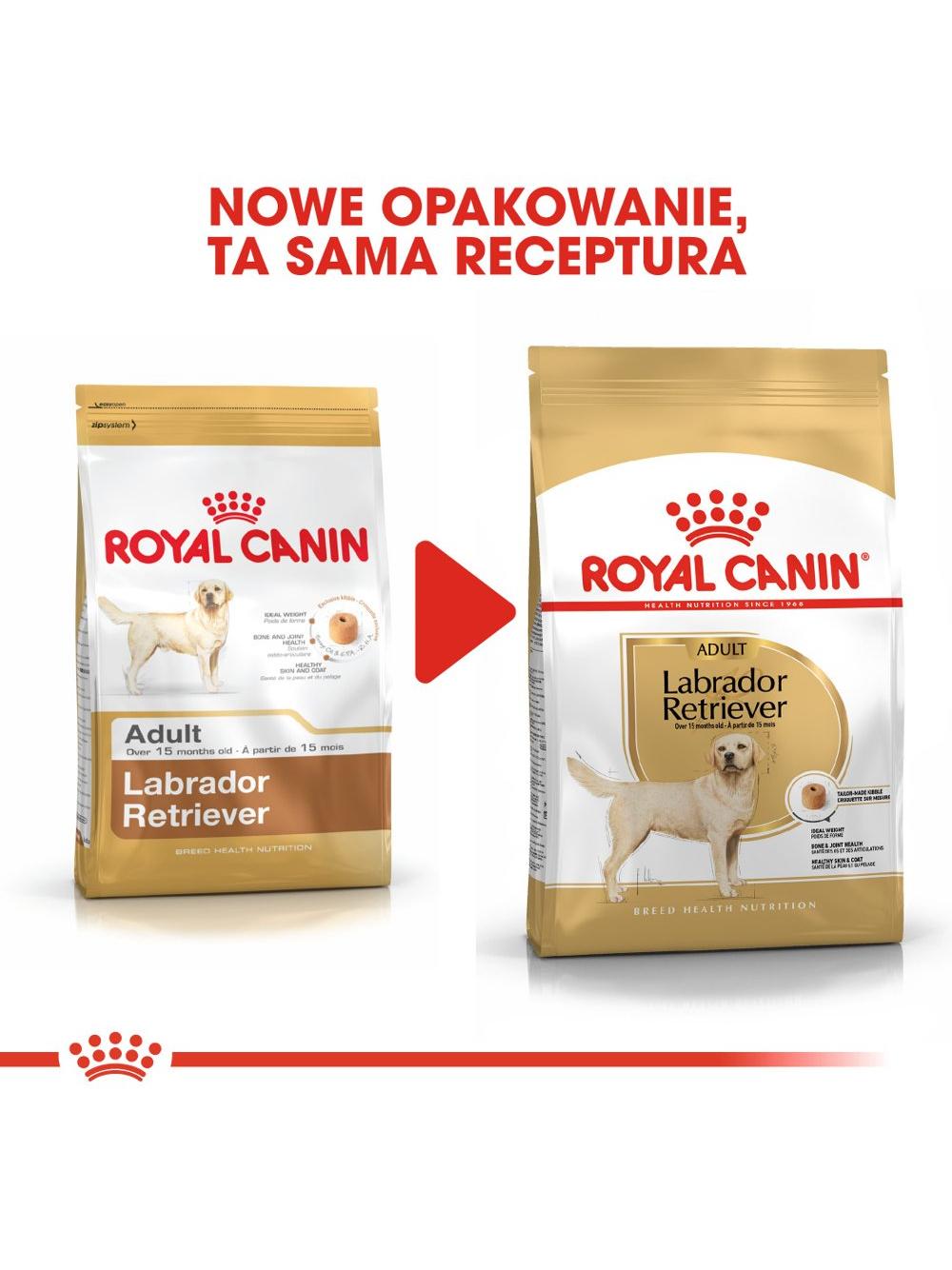 ROYAL CANIN® Labrador Retriever Adult 11,5 kg karma sucha dla psów dorosłych do 5. roku życia, rasy labrador retriever / Opakowanie uszkodzone (5766)!!!