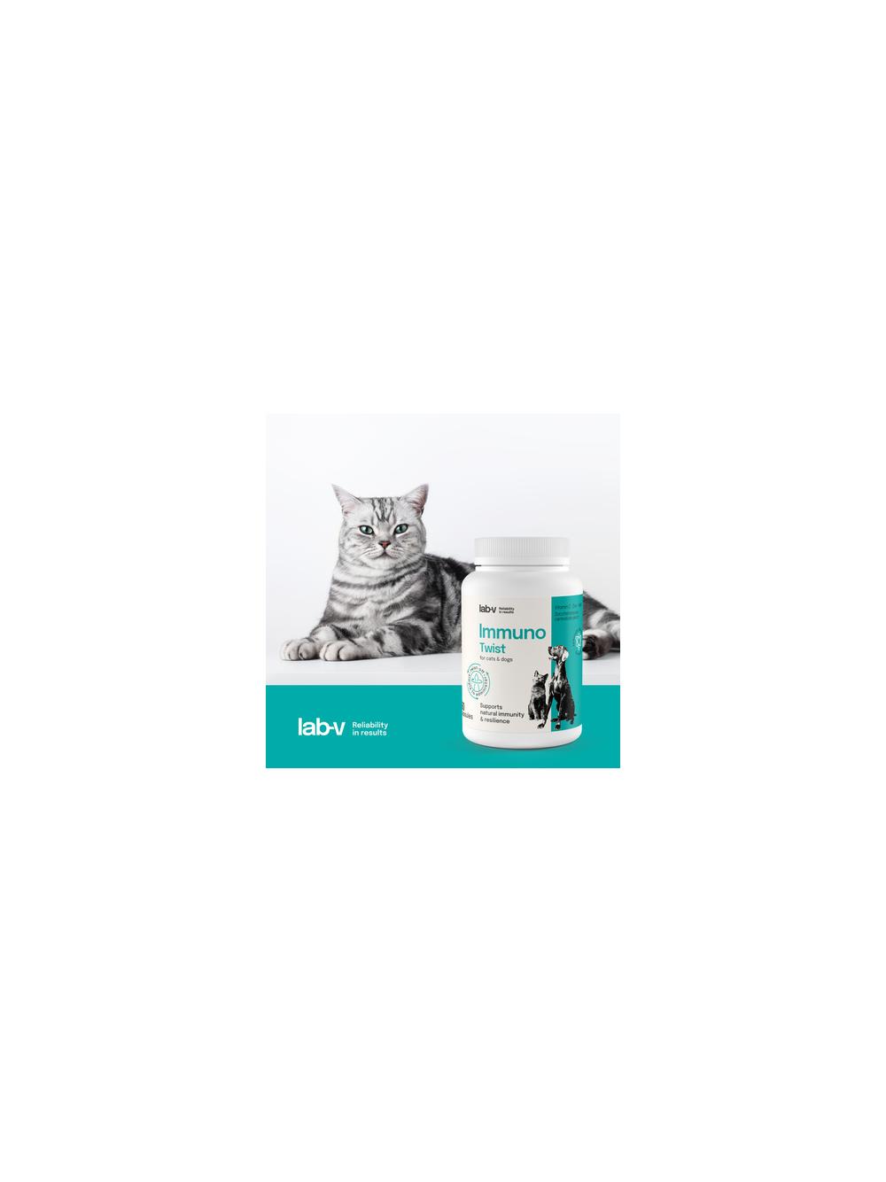 Lab-v Pet Care Box MEDIUM – Zestaw prezentowy dla psa i kota