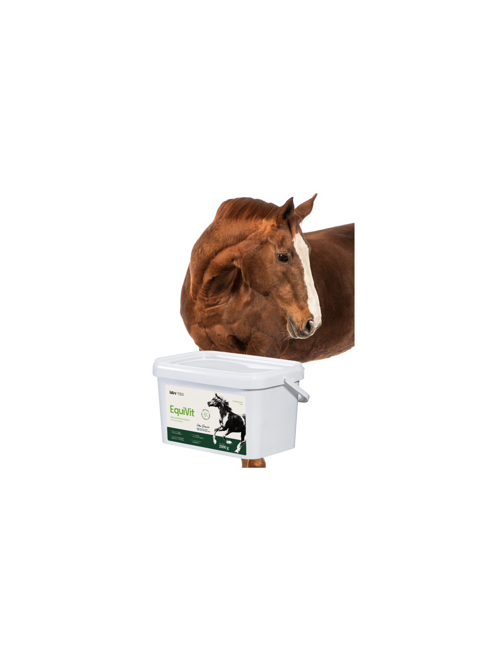 Lab-v Horse Care Box – Zestaw prezentowy dla konia