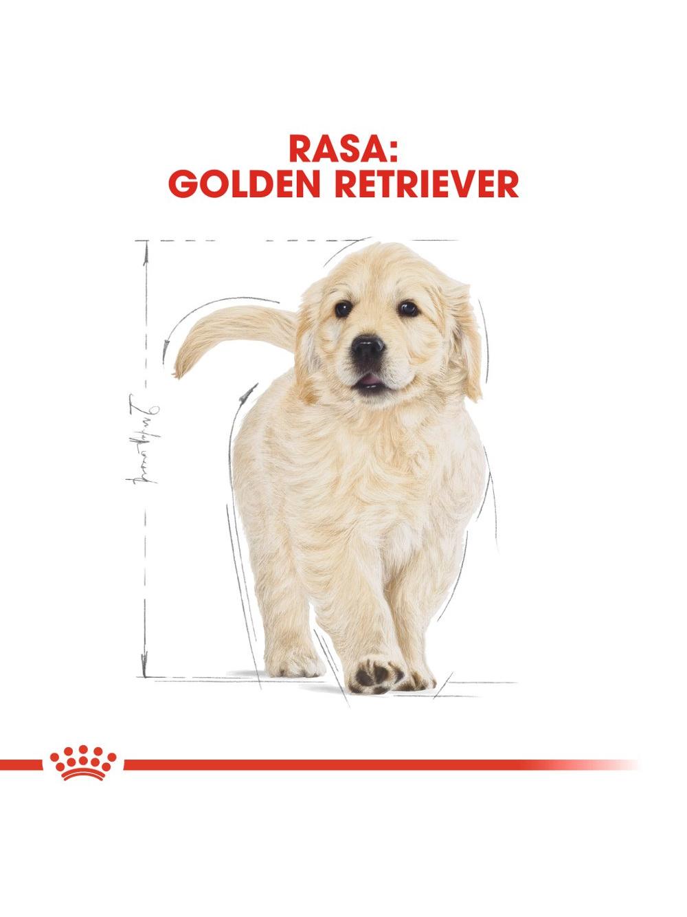 ROYAL CANIN Golden Retriever Puppy 12kg karma sucha dla szczeniąt do 15 miesiąca, rasy golden retriever/Opakowanie uszkodzone(9587)