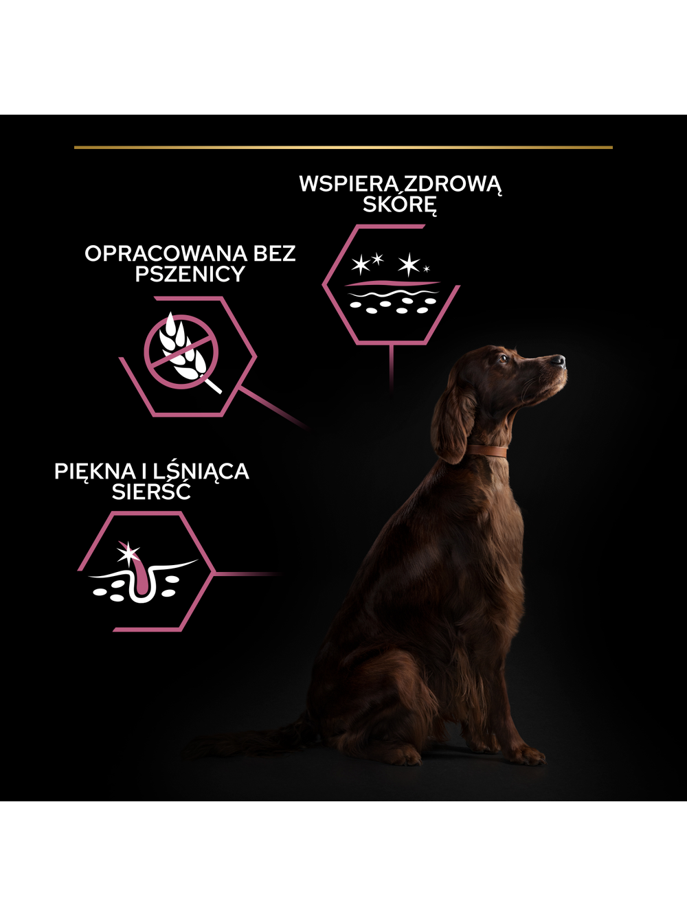 PRO PLAN Sensitive Skin Large Athletic Adult Karma dla psów bogata w łososia 14kg / Opakowanie uszkodzone (6148,7389,8752,9370,9516)!!