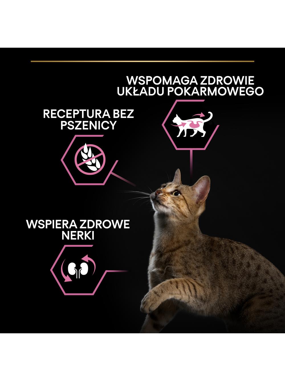 PRO PLAN Delicate Digestion Karma dla kotów bogata indyka 400g