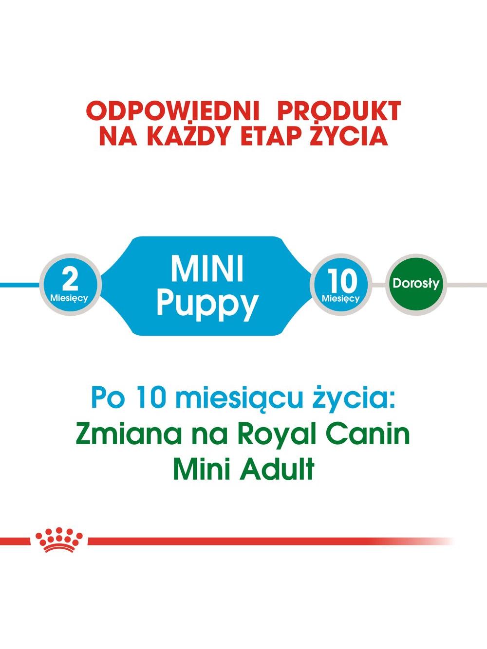 ROYAL CANIN Mini Puppy 8kg  + niespodzianka dla psa GRATIS!